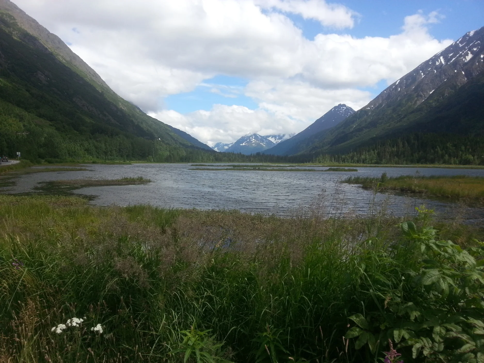 Alaska mountain meadow