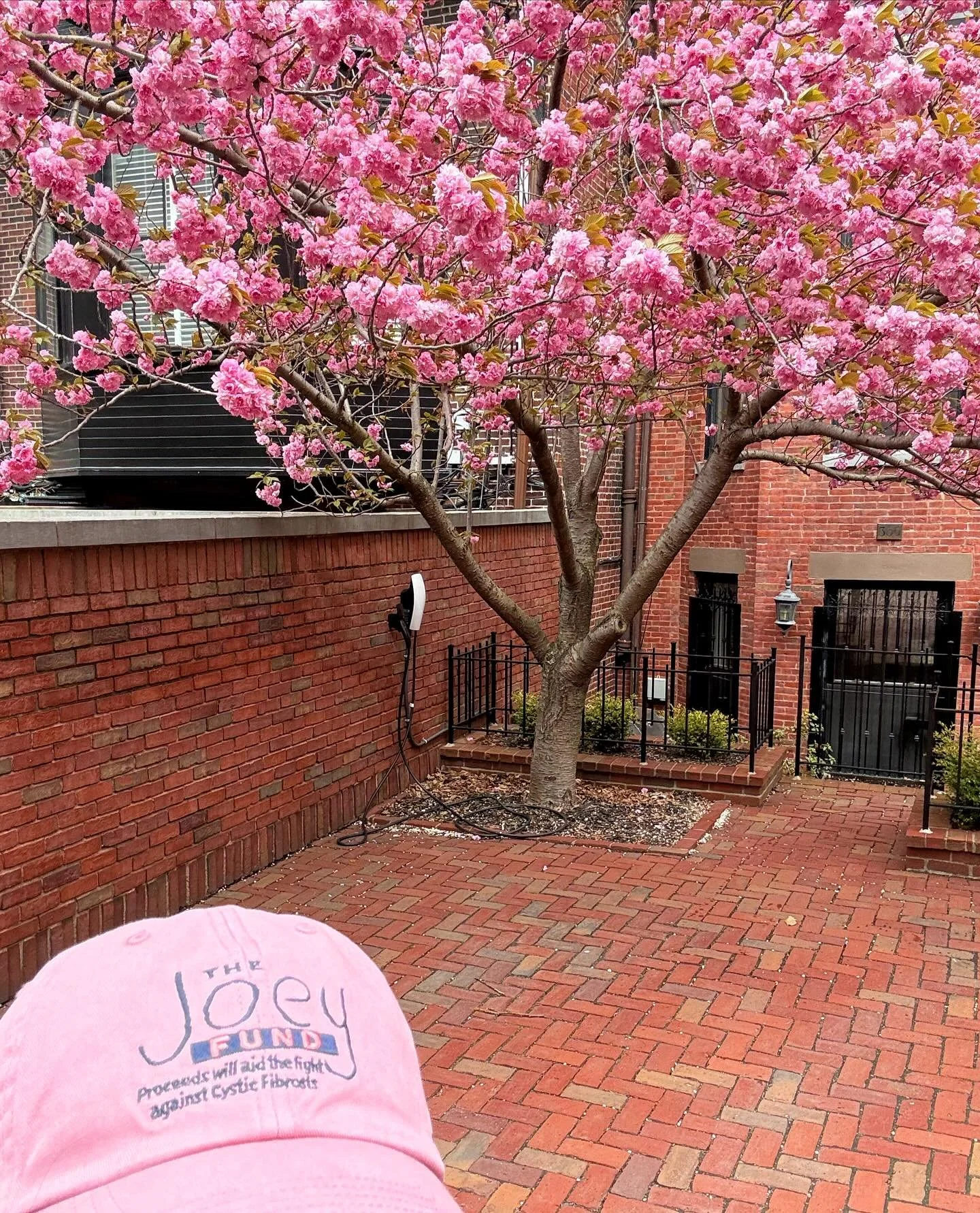 This week in Boston makes the whole winter worth it. IYKYK. 

🌸🧢🌸