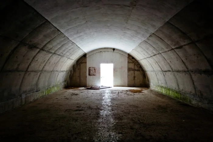 Grass Igloo Interior , 2011
