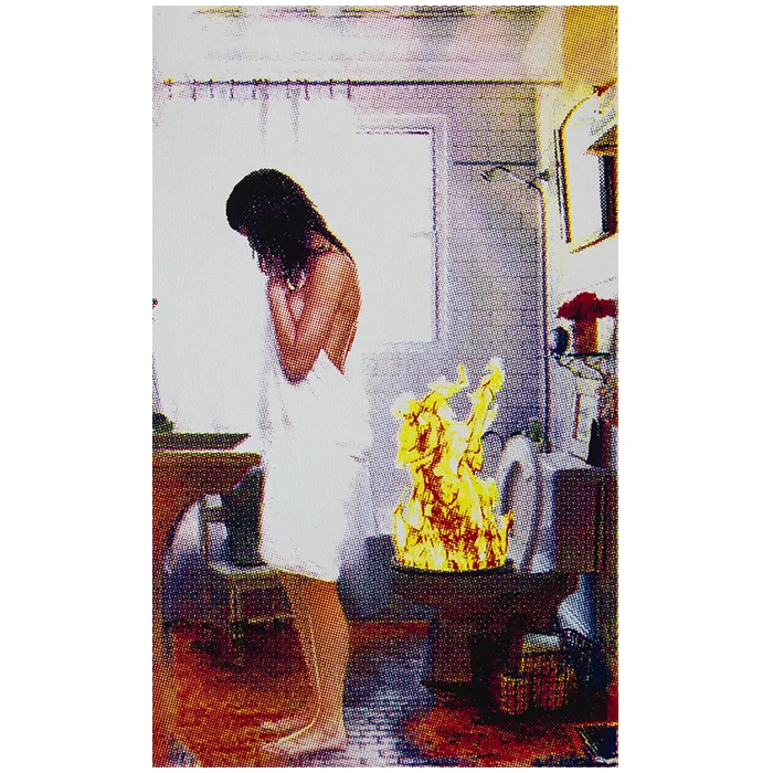 Contaminated Waste , 2014, silkscreen print