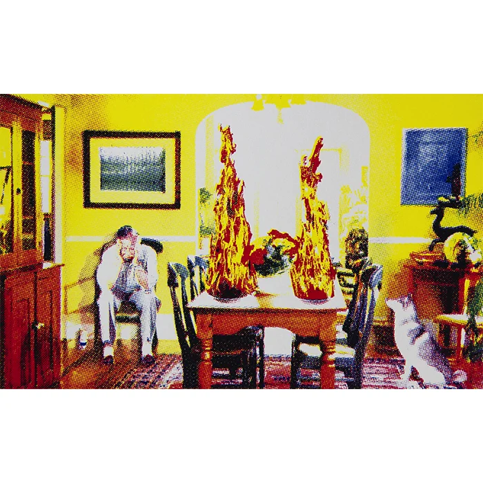 Food Poisoning , 2014, silkscreen print