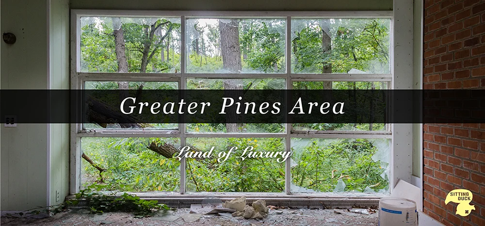 Billboard Design for the Greater Pines Area: Land of Luxury.