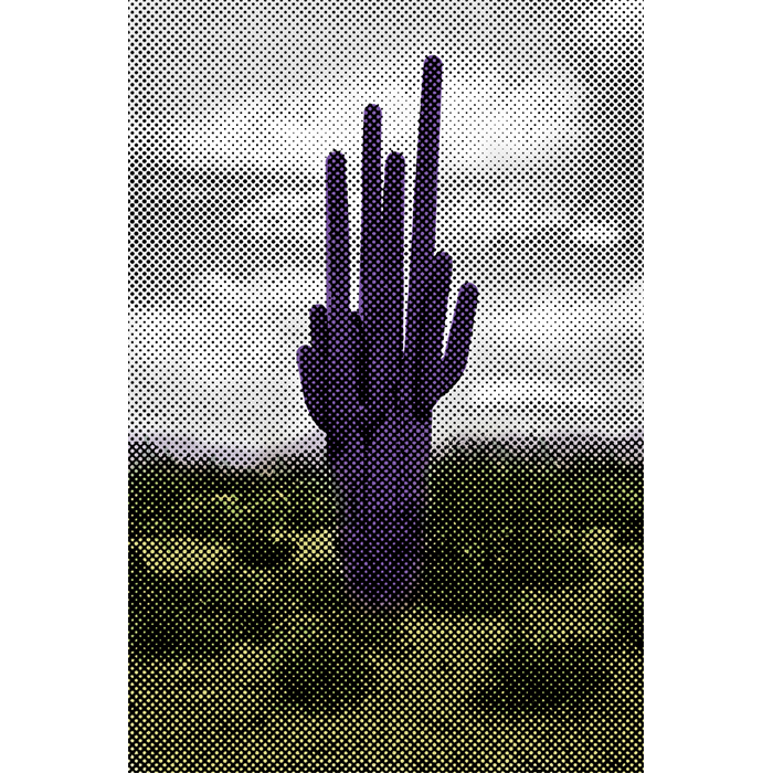 29/100: Purple Saguaro