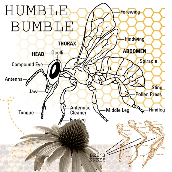 93/100: Be humble; Be kind.