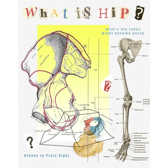 58/100: What is Hip?