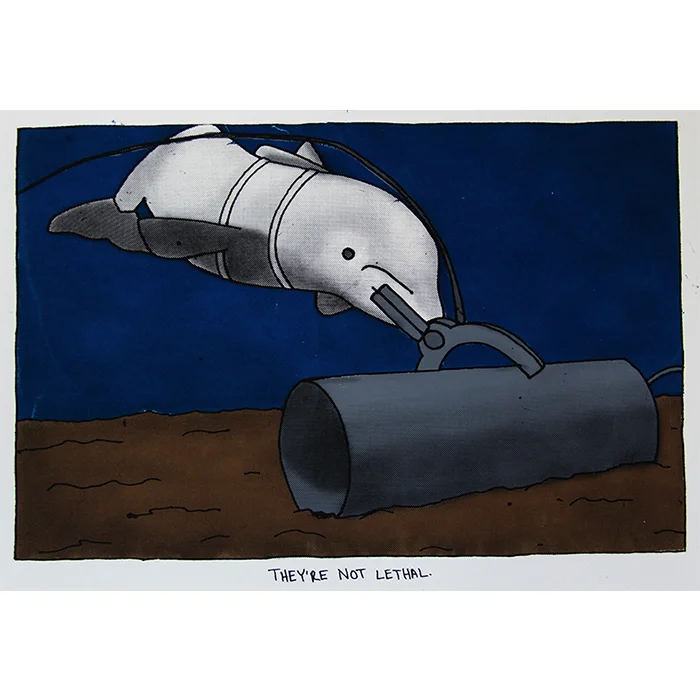 US Navy Marine Mammal Program, silkscreen, 2015