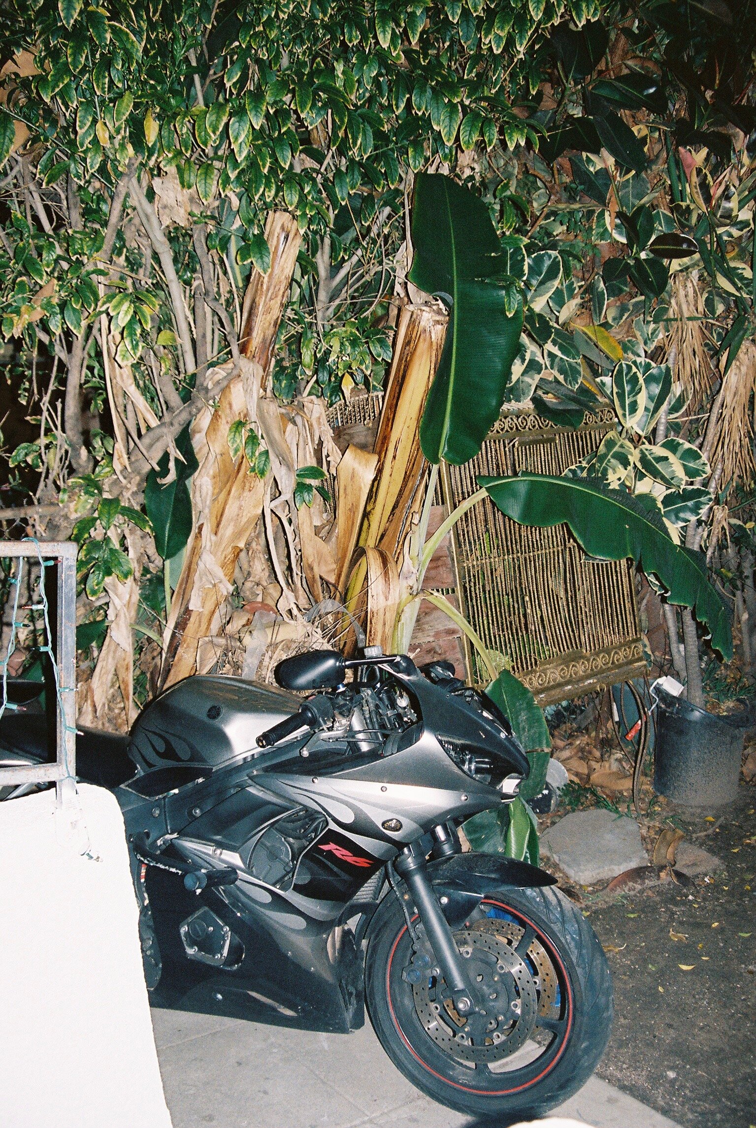IMG4332-R01-035A.jpg