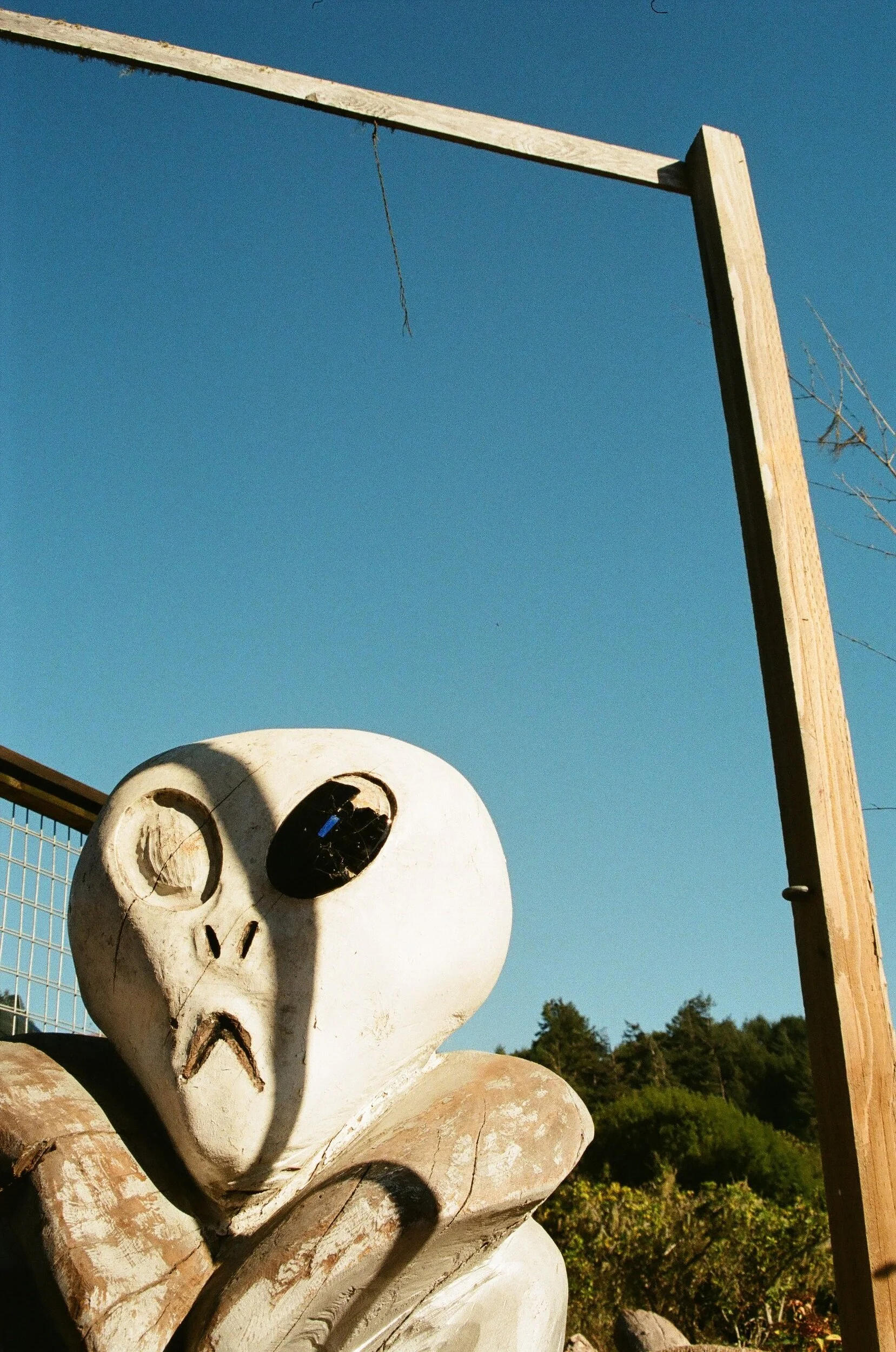 81160024+copy.jpg