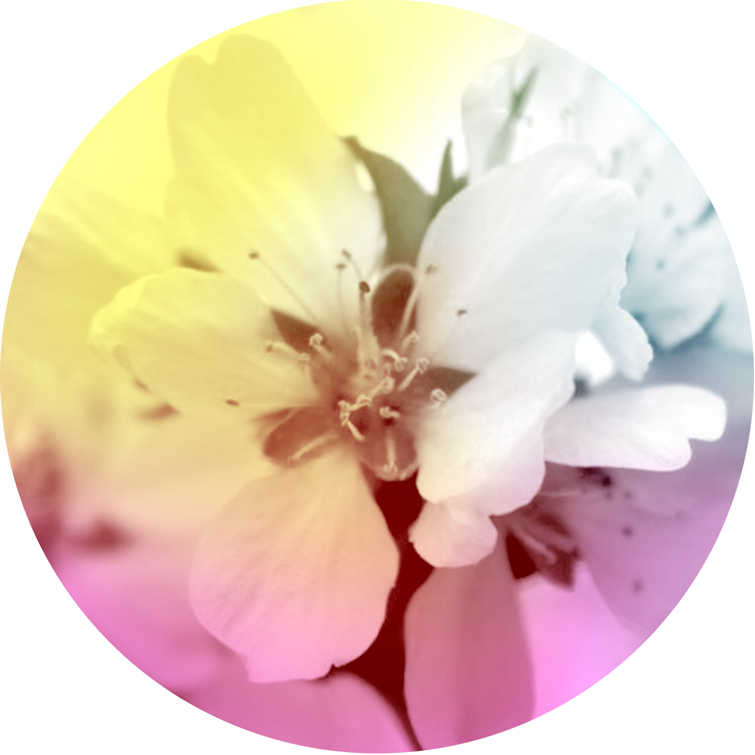 Equinox-CalendarImage-1.png