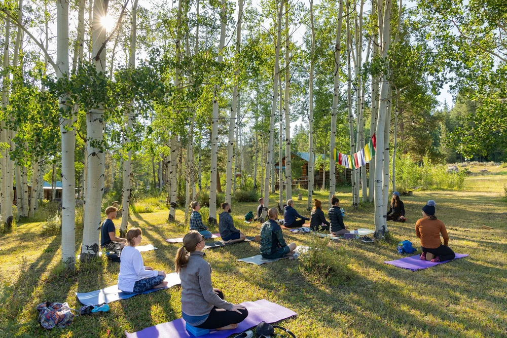 Yoga in the aspen grove at Beyul