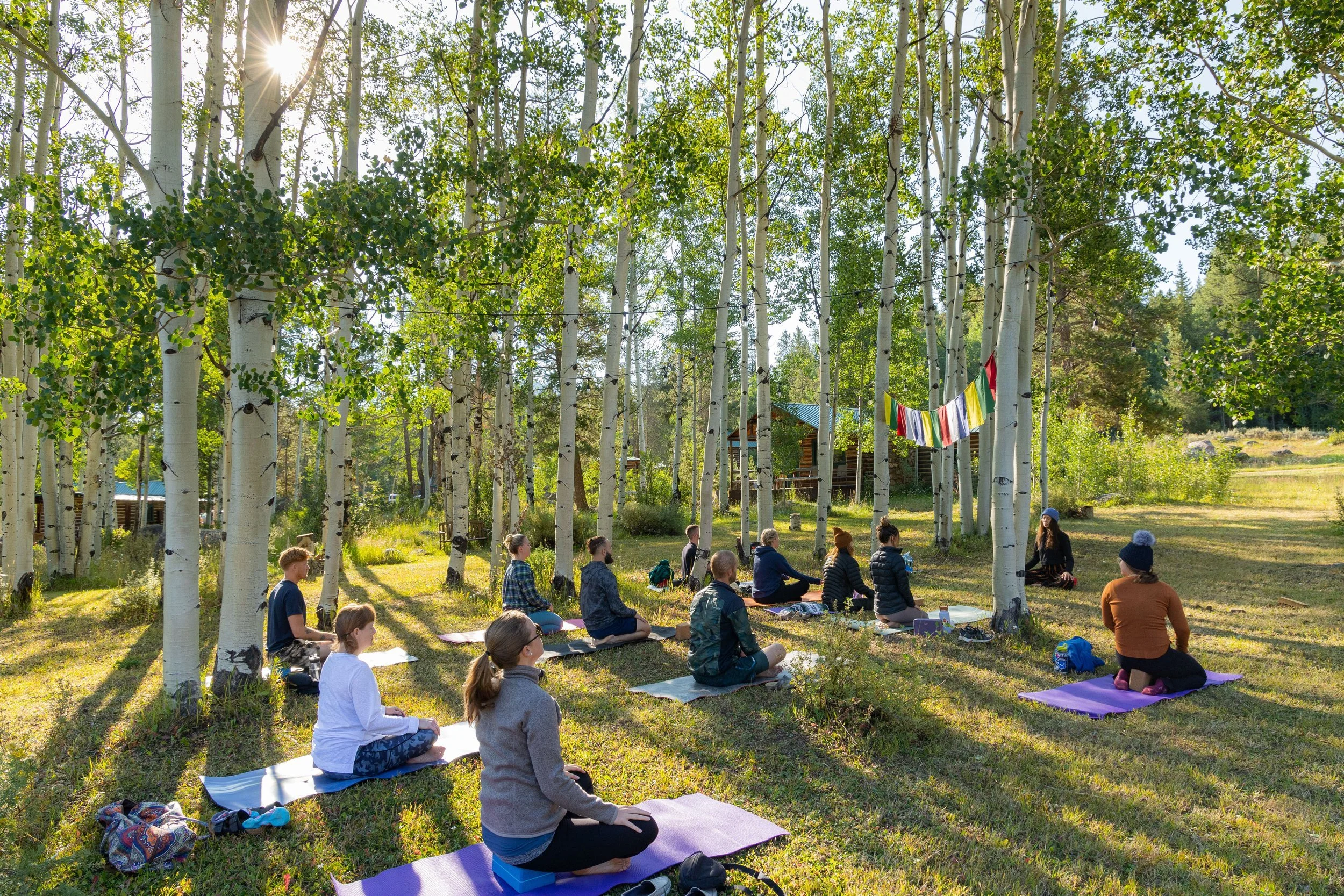 Yoga in the aspen grove at Beyul Retreat Center, Colorado