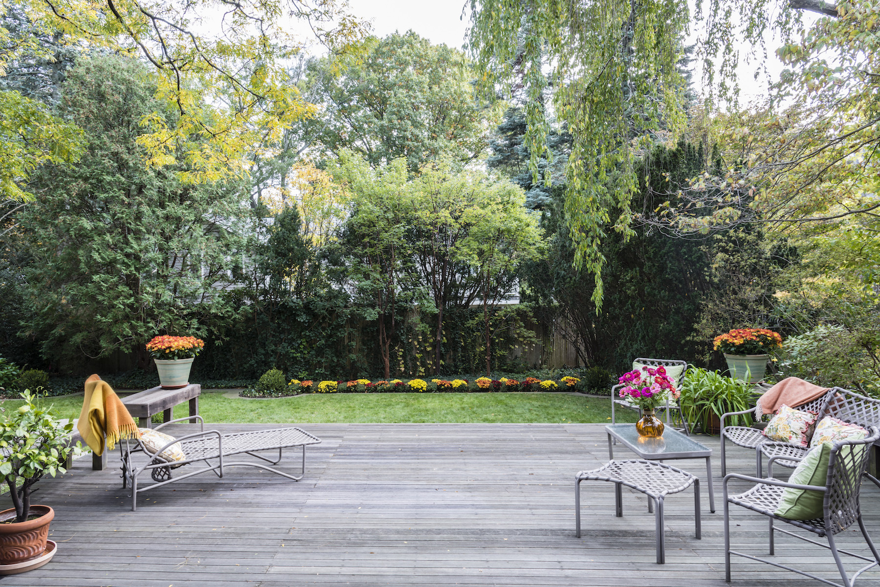 * Back yard straight on with the deck in the Foreground copy.jpg