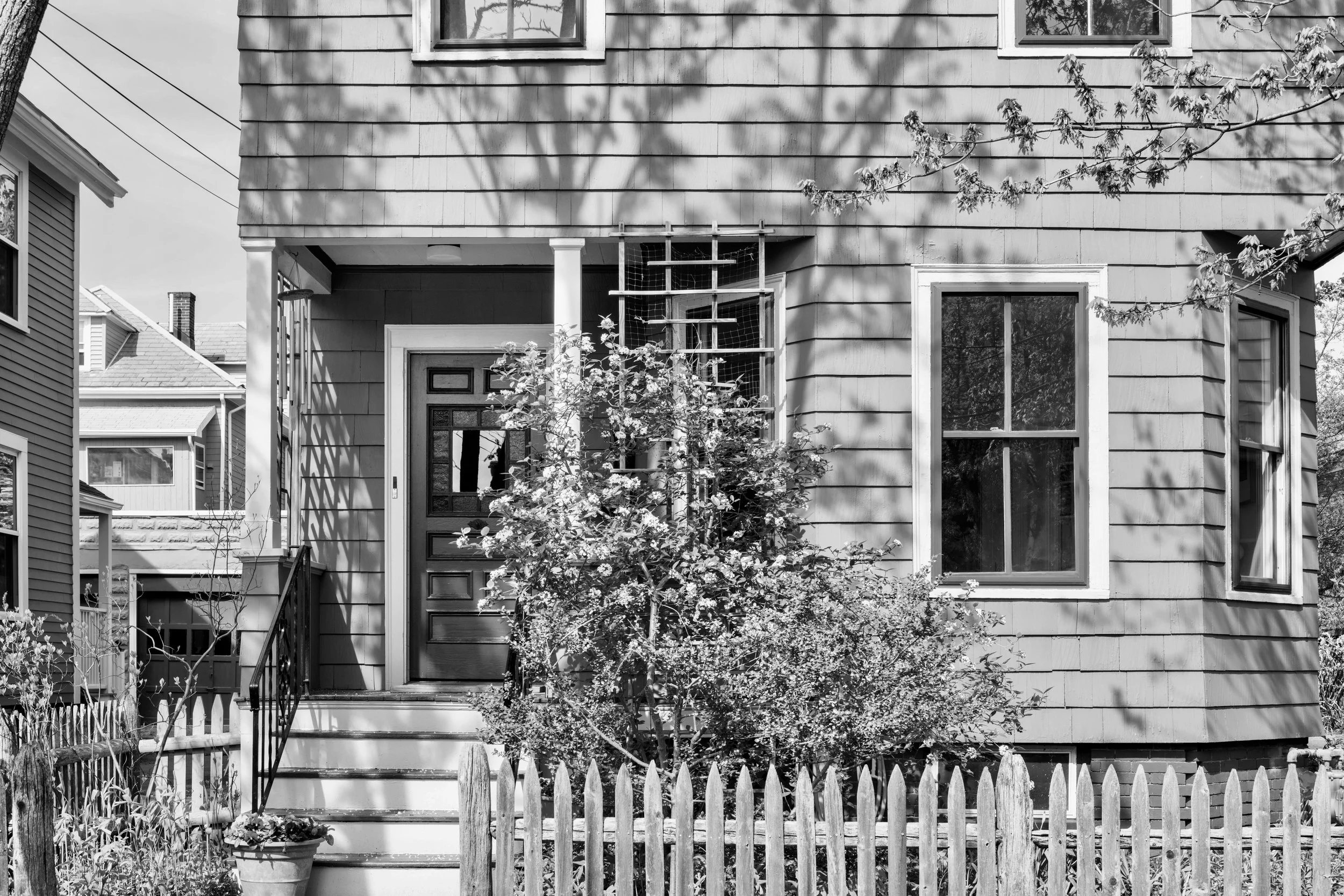 A Life Within: A Cambridge/Somerville Treasure