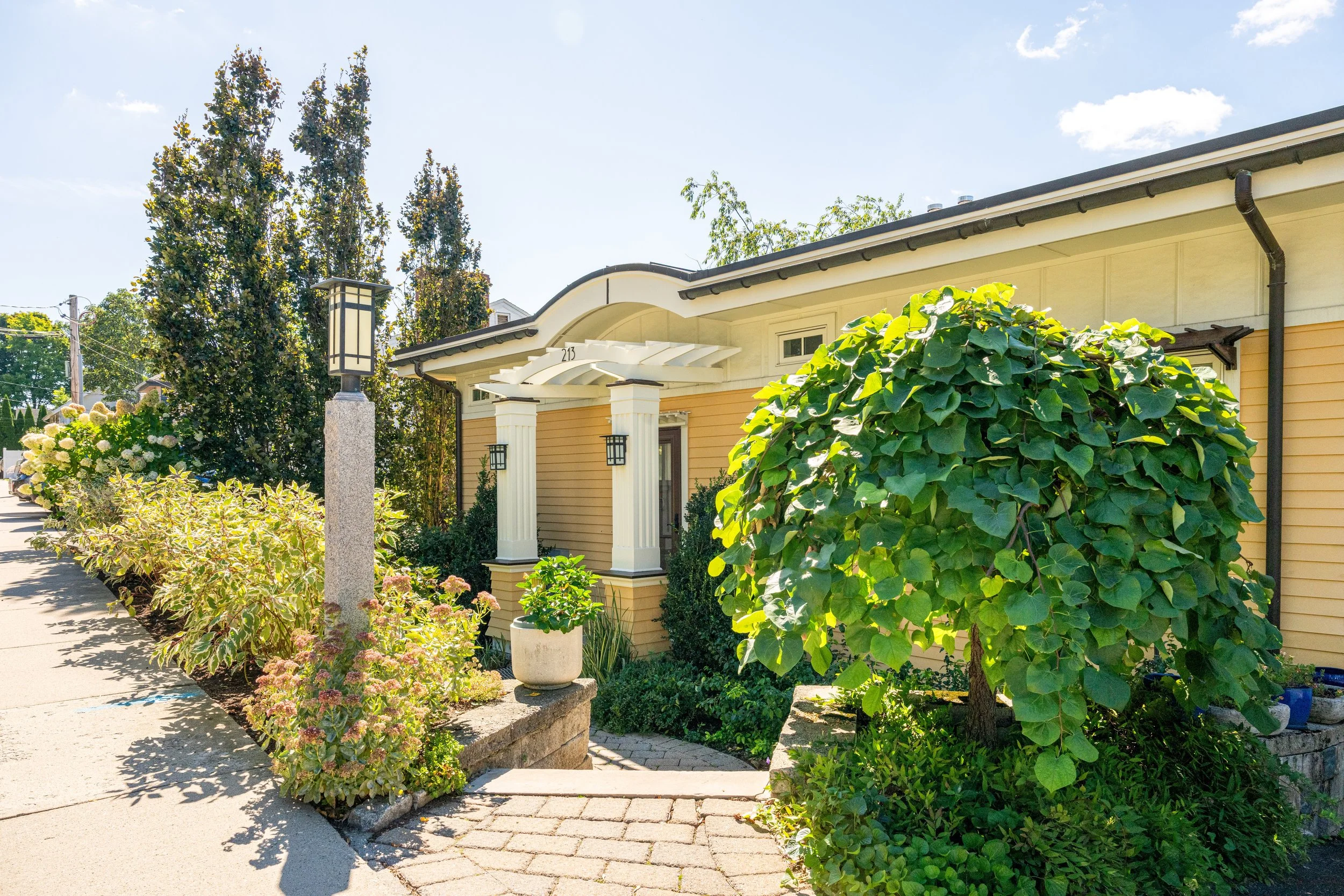 213 Palfrey Street