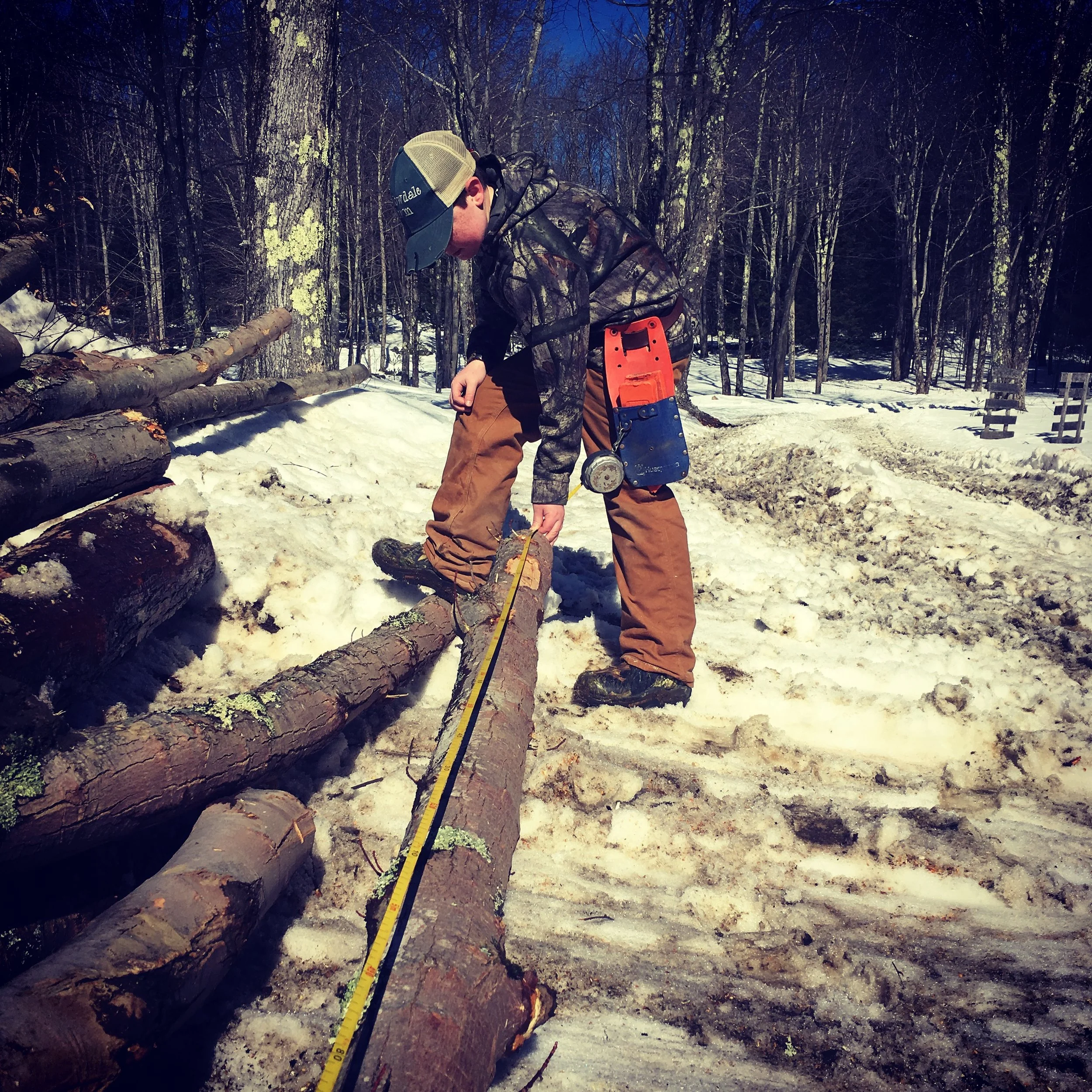 Why Vermont needs a Right to Practice Forestry