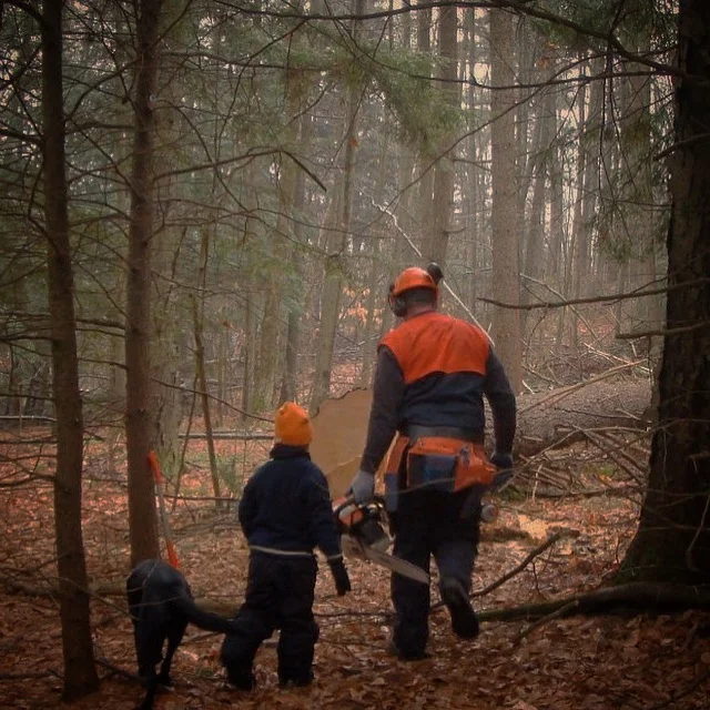 Dreaming of Tall Timber and Logging as a Family