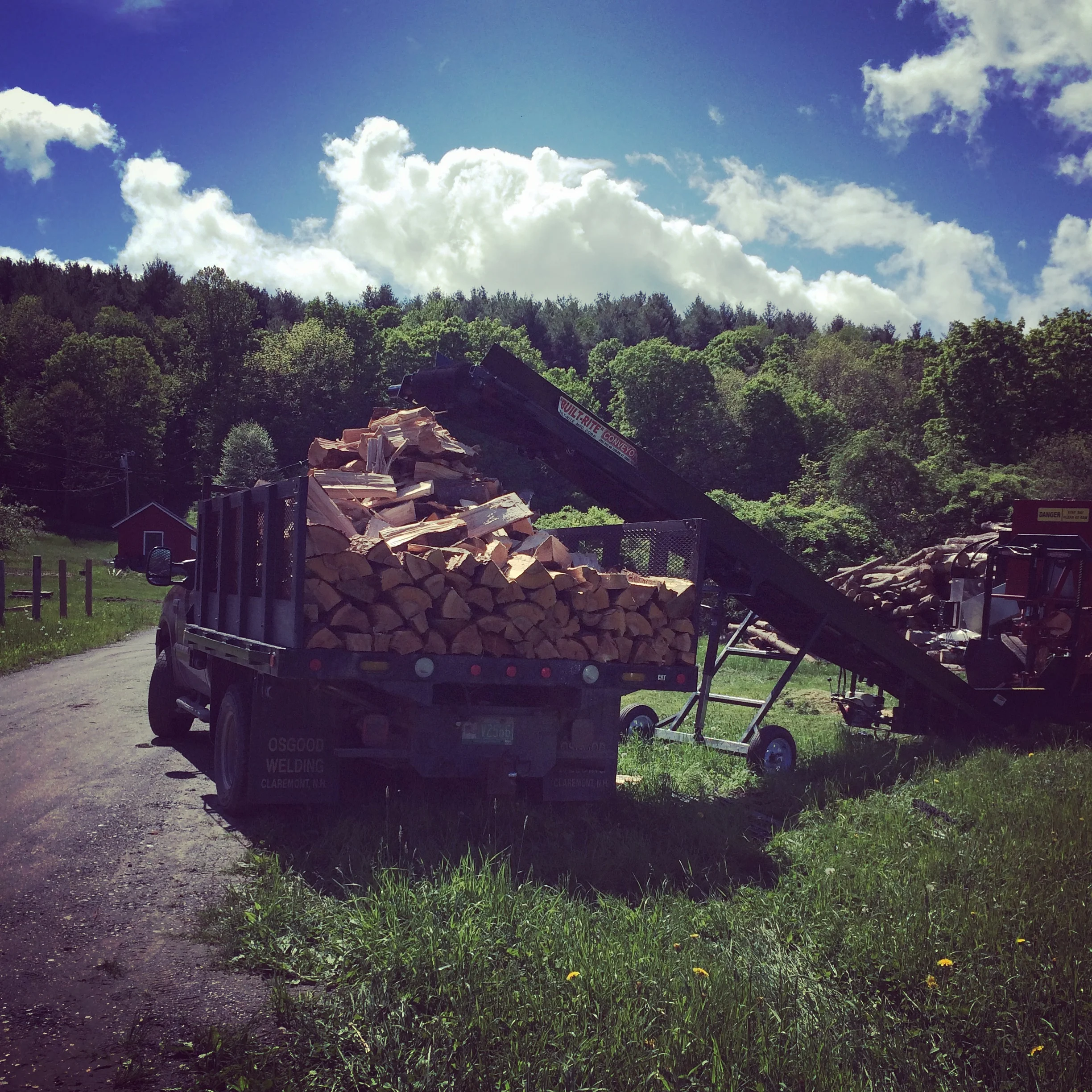 Translating the Poetry of Wood