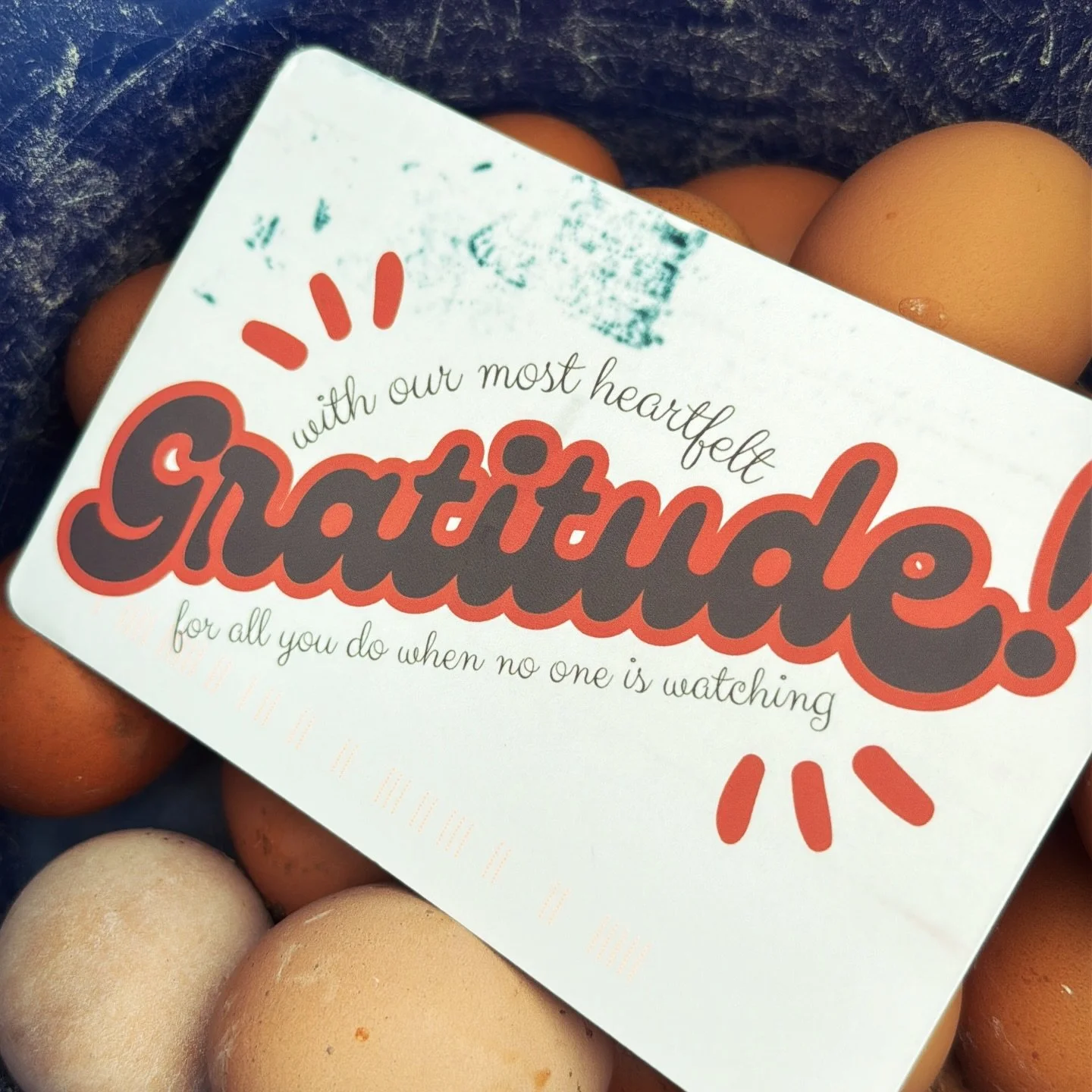 A huge thank you to the @xoxofarmgirl for heading up this Love For Farmers postcard campaign.

We've had some devastating hawk issues and a bad cold this past week, but we finally swung by our mailbox to a pile of the usual bills, but this postcard p