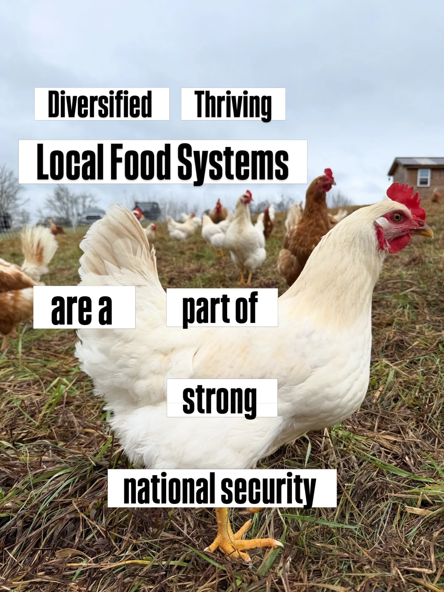 With everything happening globally right now &mdash; conflict in the Middle East, cartel violence along our southern border, and the kinds of severe weather events we&rsquo;ve seen in recent years like Helene &mdash; it&rsquo;s a good reminder to thi