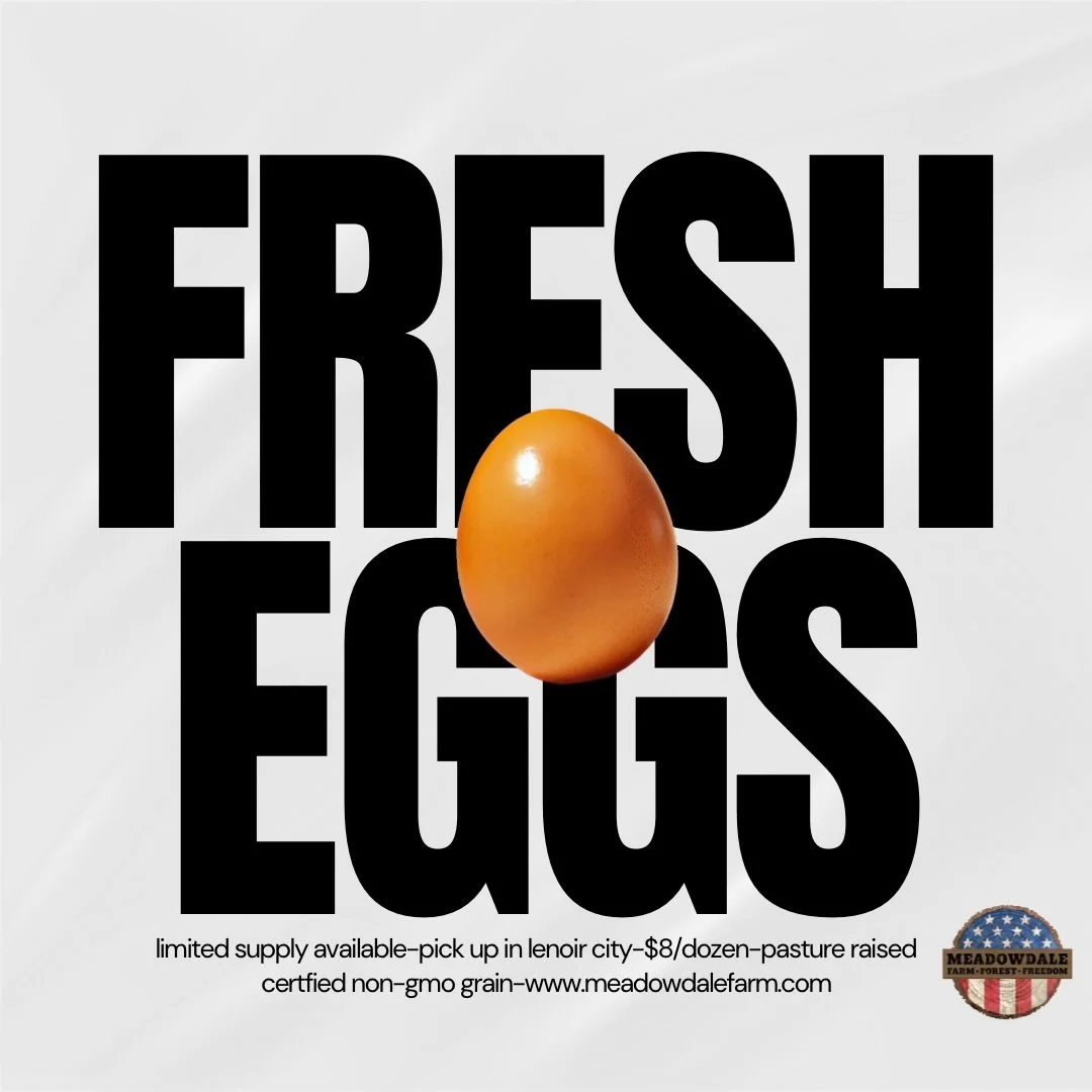 🥚 Hey friends, have you ever thought about how old the eggs in the grocery store really are?

Even though the &ldquo;Best By&rdquo; date might be weeks away, a lot of those eggs were packed days&mdash;or even weeks&mdash;before they got to the store