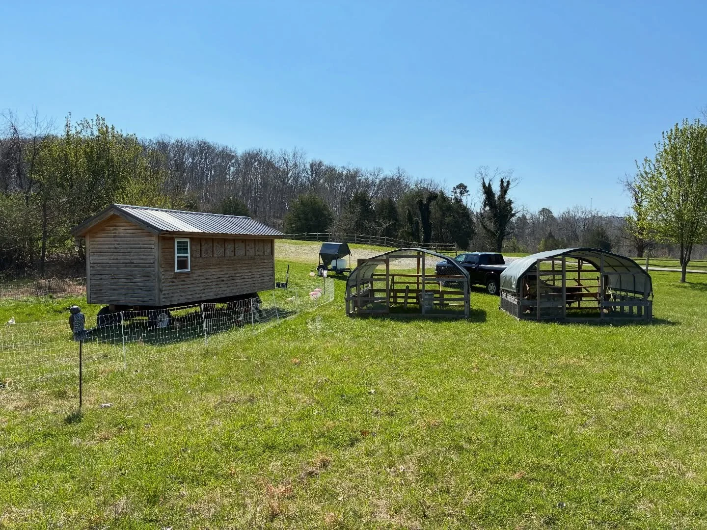 Springtime cleanups!

Got the coop cleaned up, 6 rolls of poultry netting moved, waterers washed, bulk grain, and all the birds shuffled around this morning.

Thankful for the sunshine, blue sky, and the Waller family 200 years ago who cleared this f