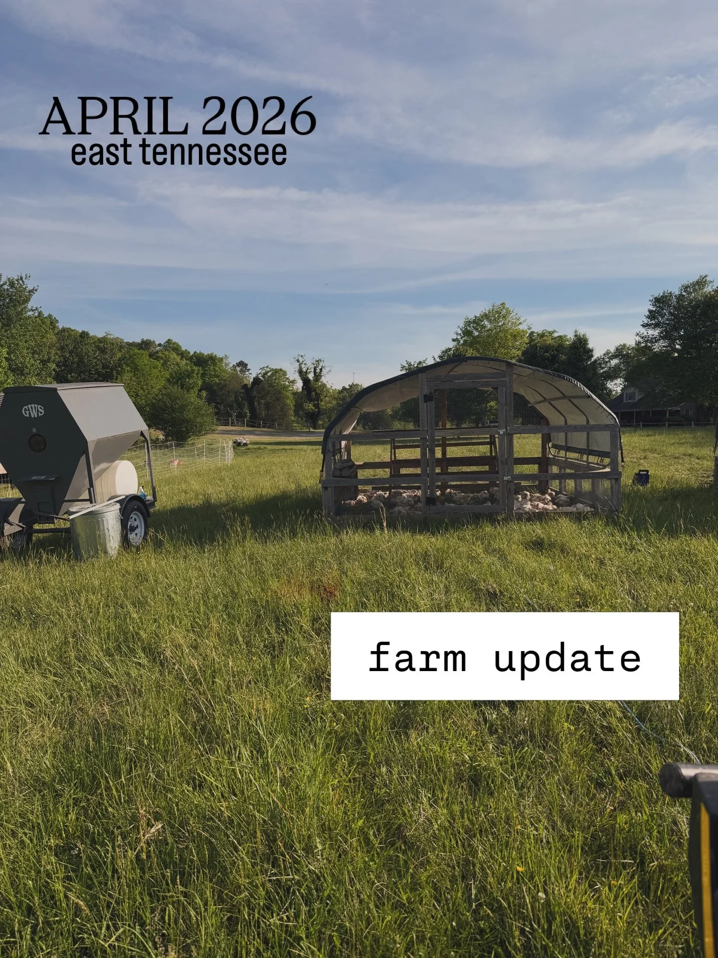 Thankful spring is here and we even got a little bit of rain this past week.

This month we've been raising chickens for our Chicken Pick Up event in May. 

We'll have sausages, whole roasting birds, and lots of various cuts like thighs and wings.

W