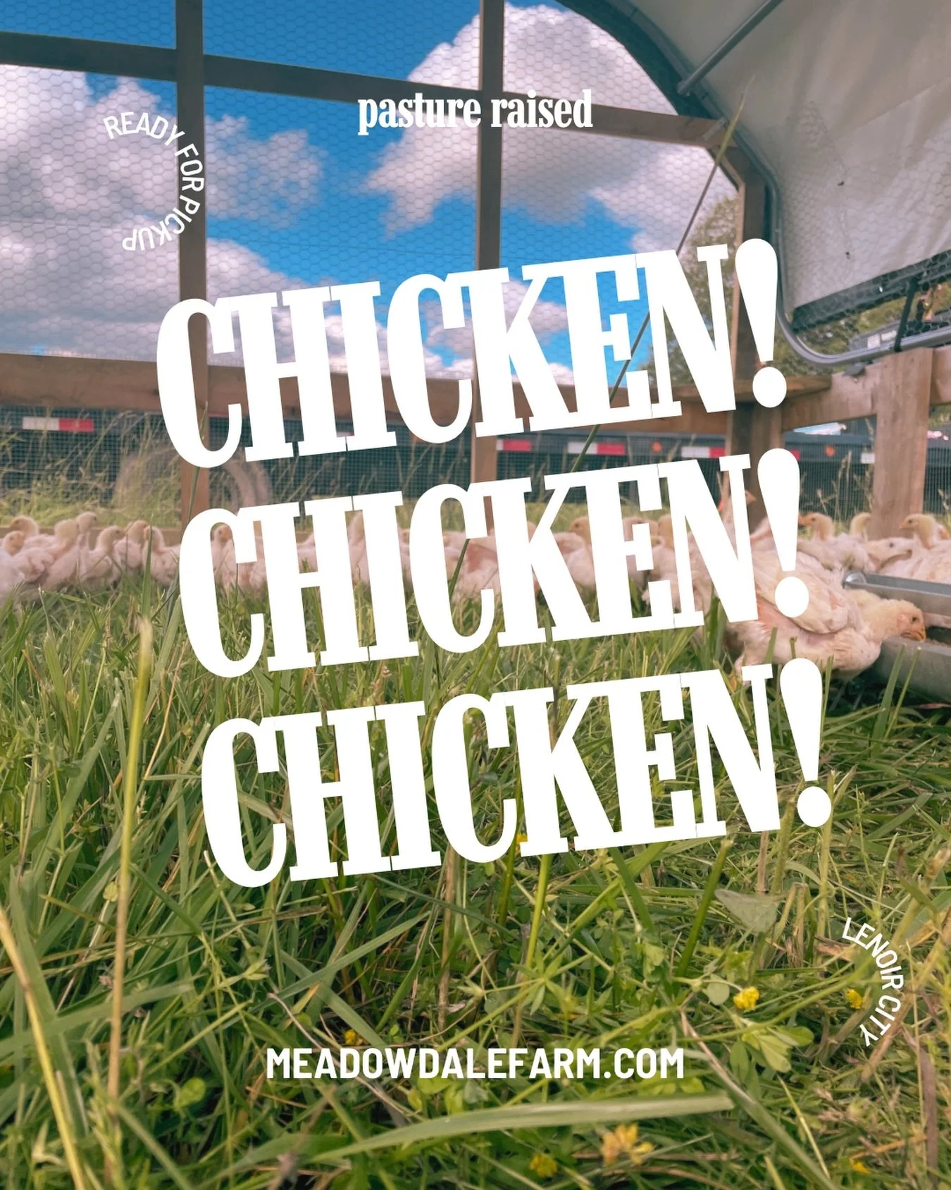 Pretty soon we're gonna have chicken restocked and ready for pick up!

I haven't sent out newsletter details yet...
-The Good News means if you're interested in finding out more you can join our mailing list tonight and get the email.
-The Bad News i
