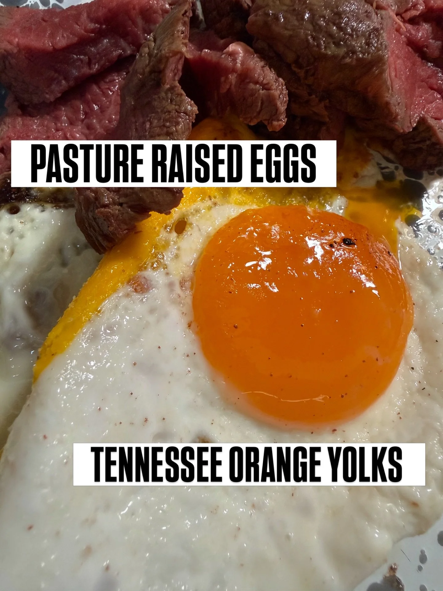 A lot of &ldquo;pasture raised&rdquo; eggs at big box stores are just marketing.

Pale yolks. Runny whites. No flavor.

Our hens outside Knoxville are raised for actual egg quality &mdash; and you can see it the second you crack one open.

🧡Deep Ten