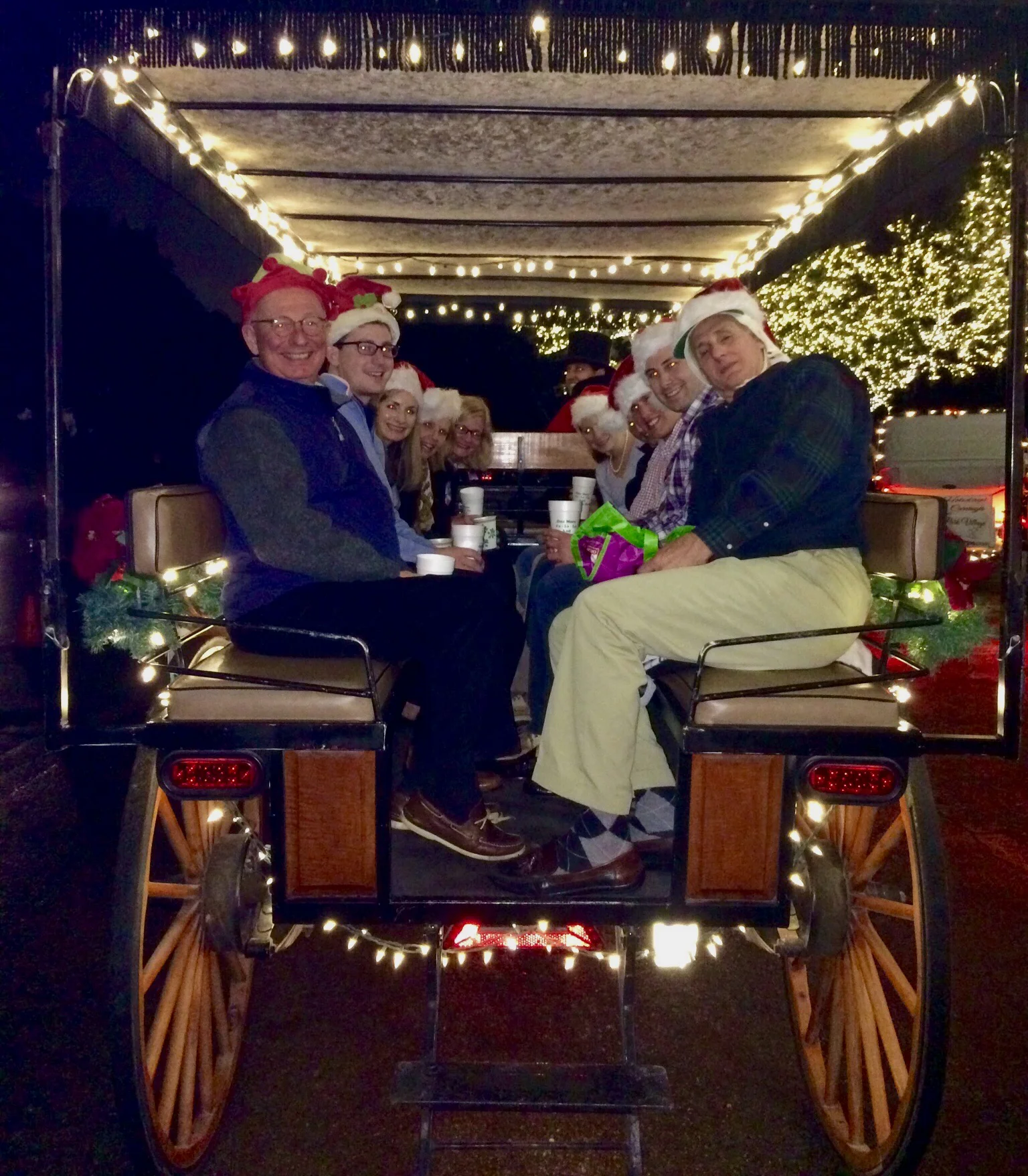 The Palmas and Happy Horners on their annual carriage ride through Dallas' finest light displays.