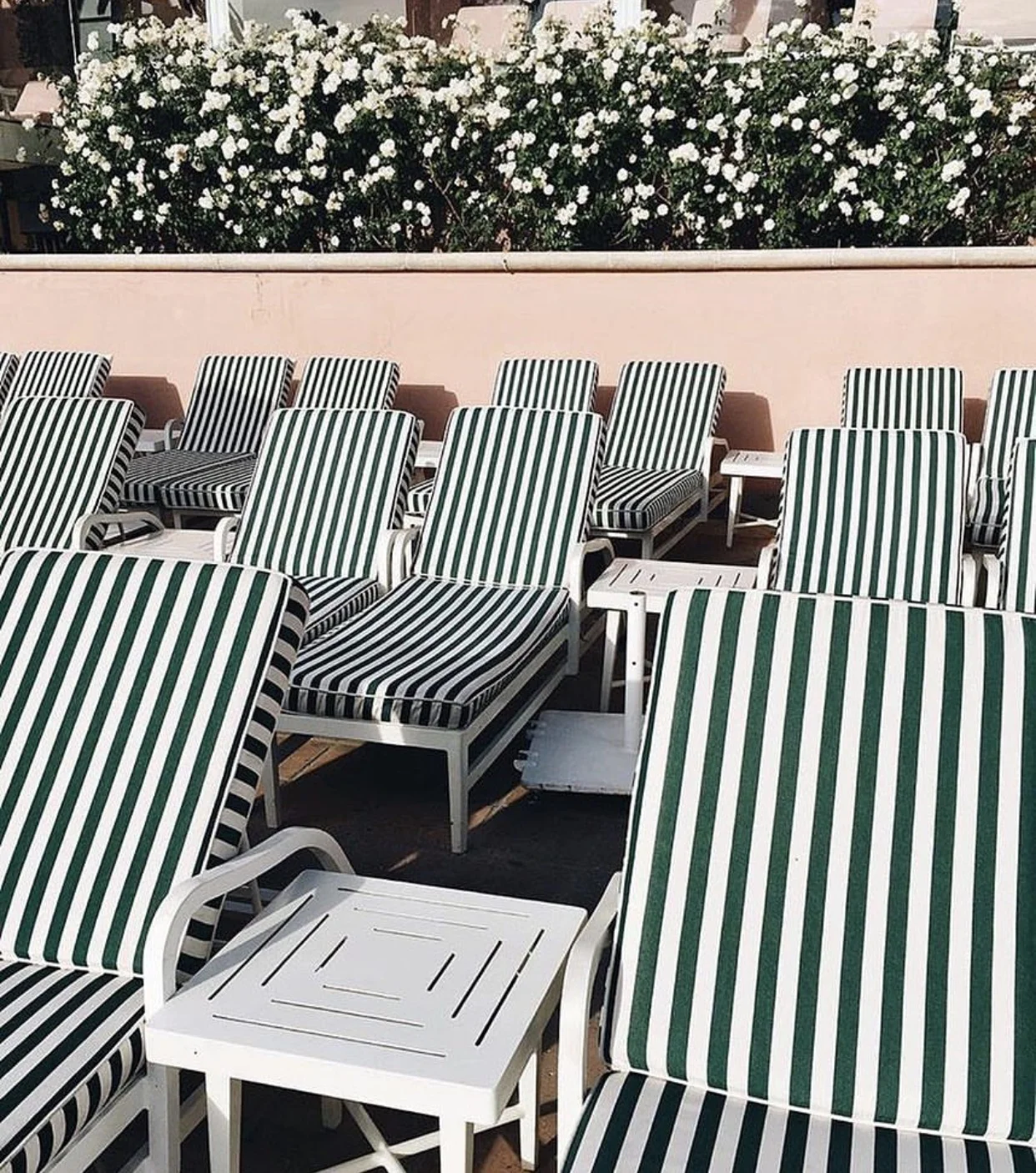 Lounge on the iconic chaises poolside at the Beverly Hills Hotel.