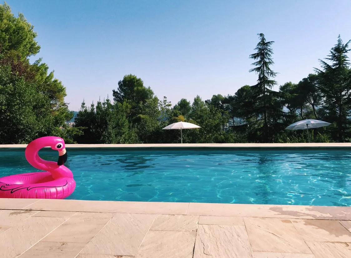 Pedro the Flamingo hidden amongst the San Bartolo hills of Pesaro.