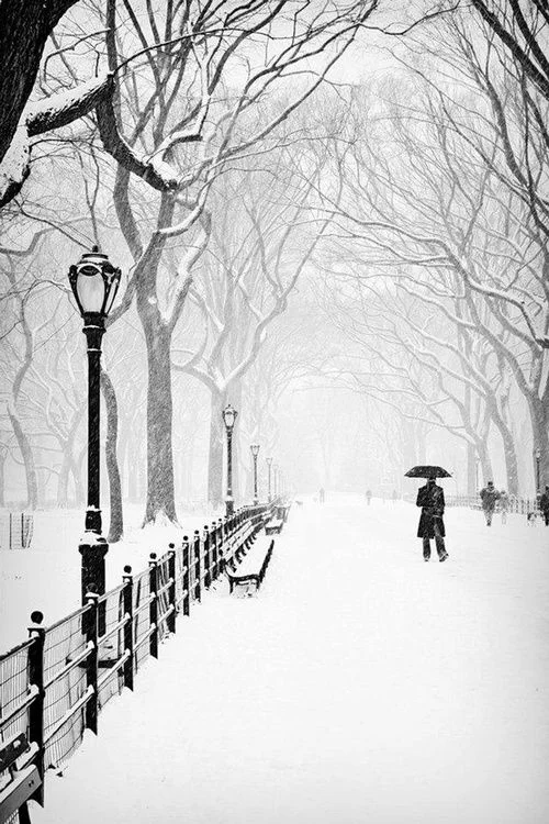 New York's Central Park in the snow.