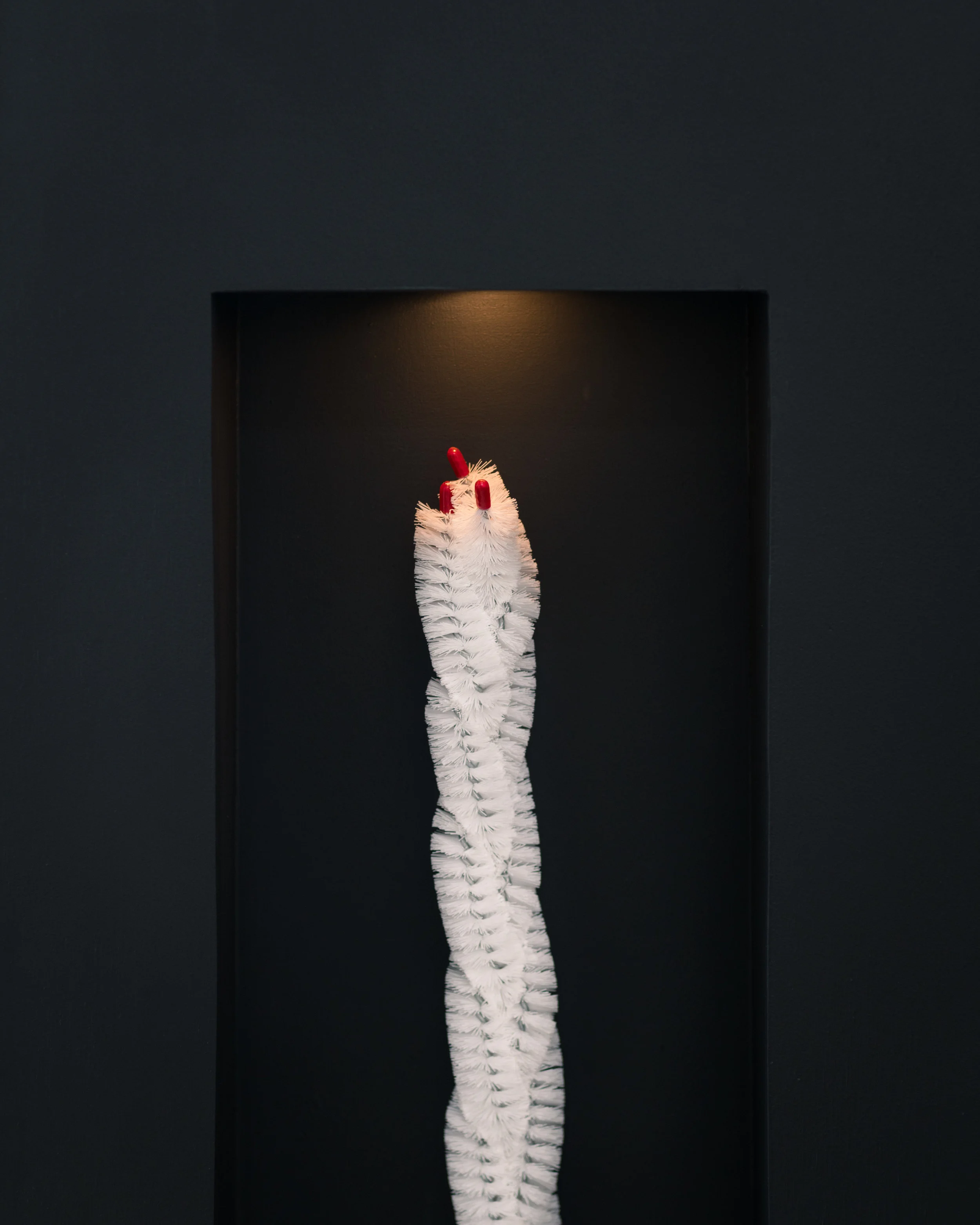 "Relics" (detail), 2017, lint cleaners, light, paint