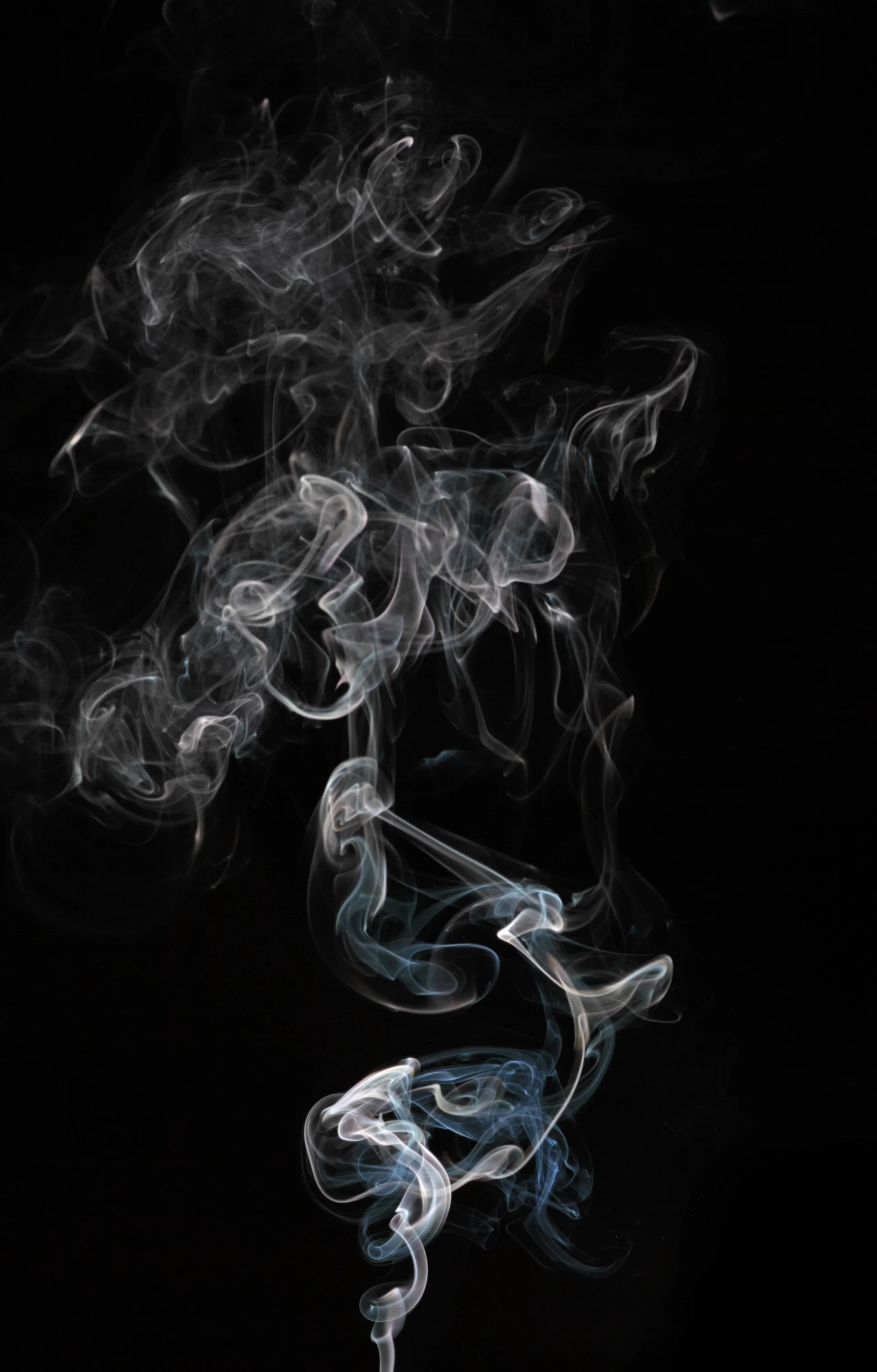 Smoke0260_L.jpg