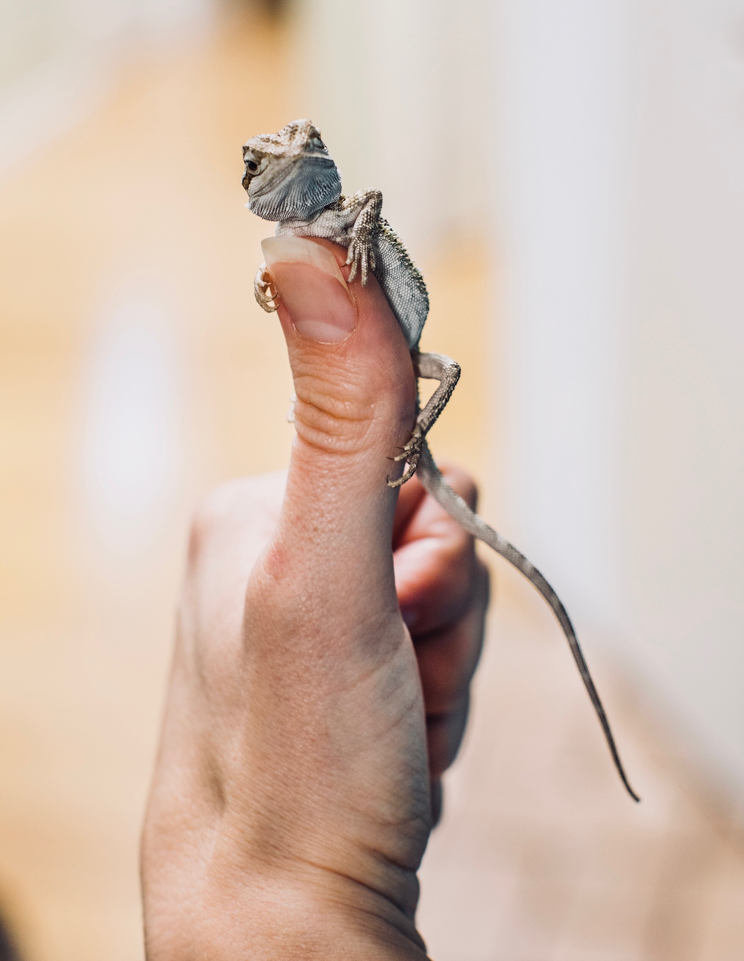 baby on finger.jpg