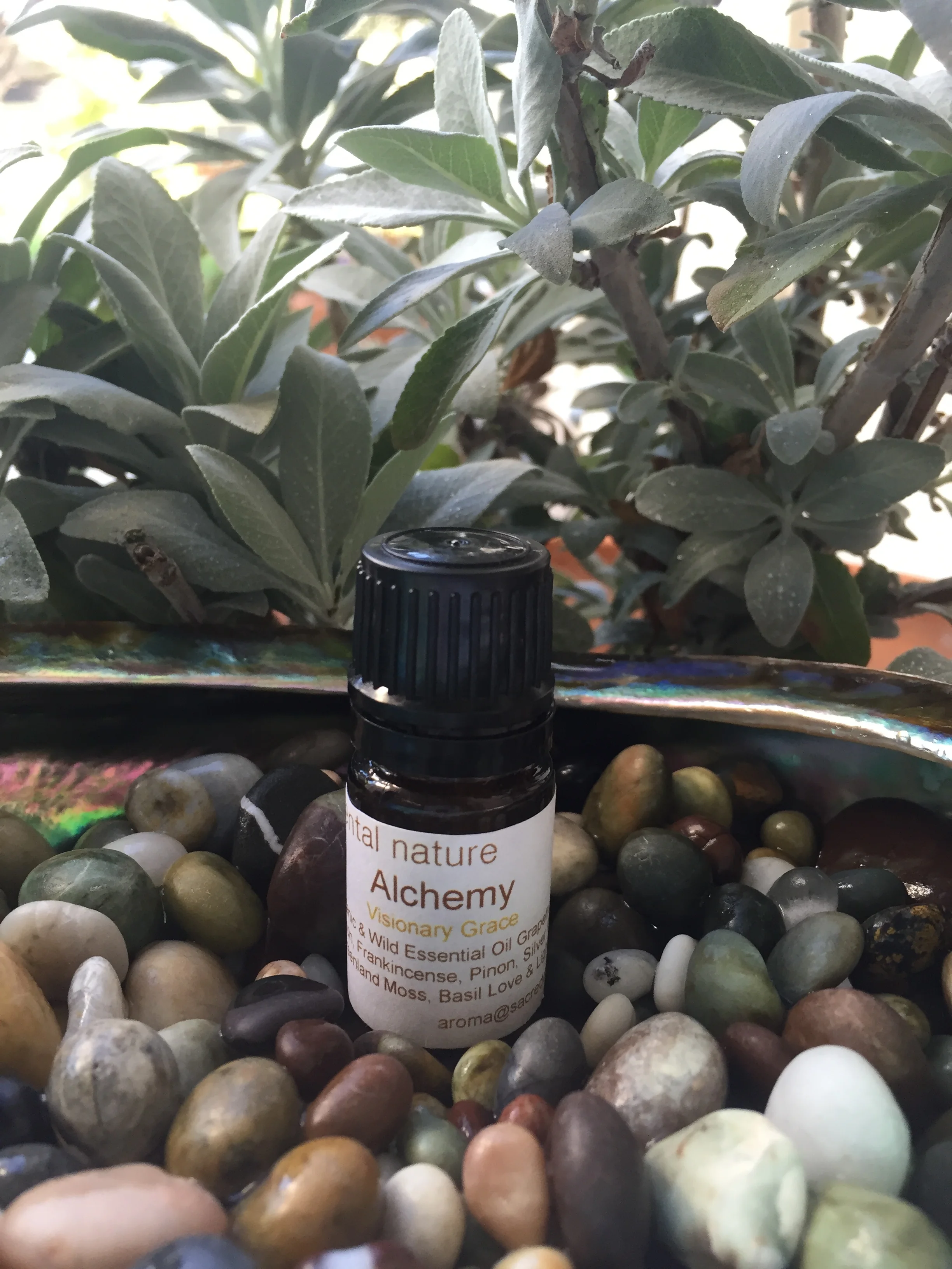 Alchemy - 5ml