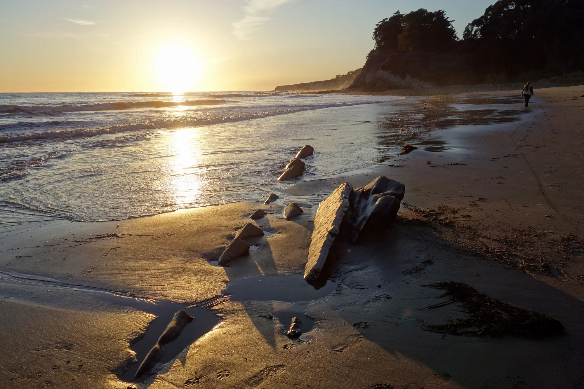 Photo by Thomas M. Stewart