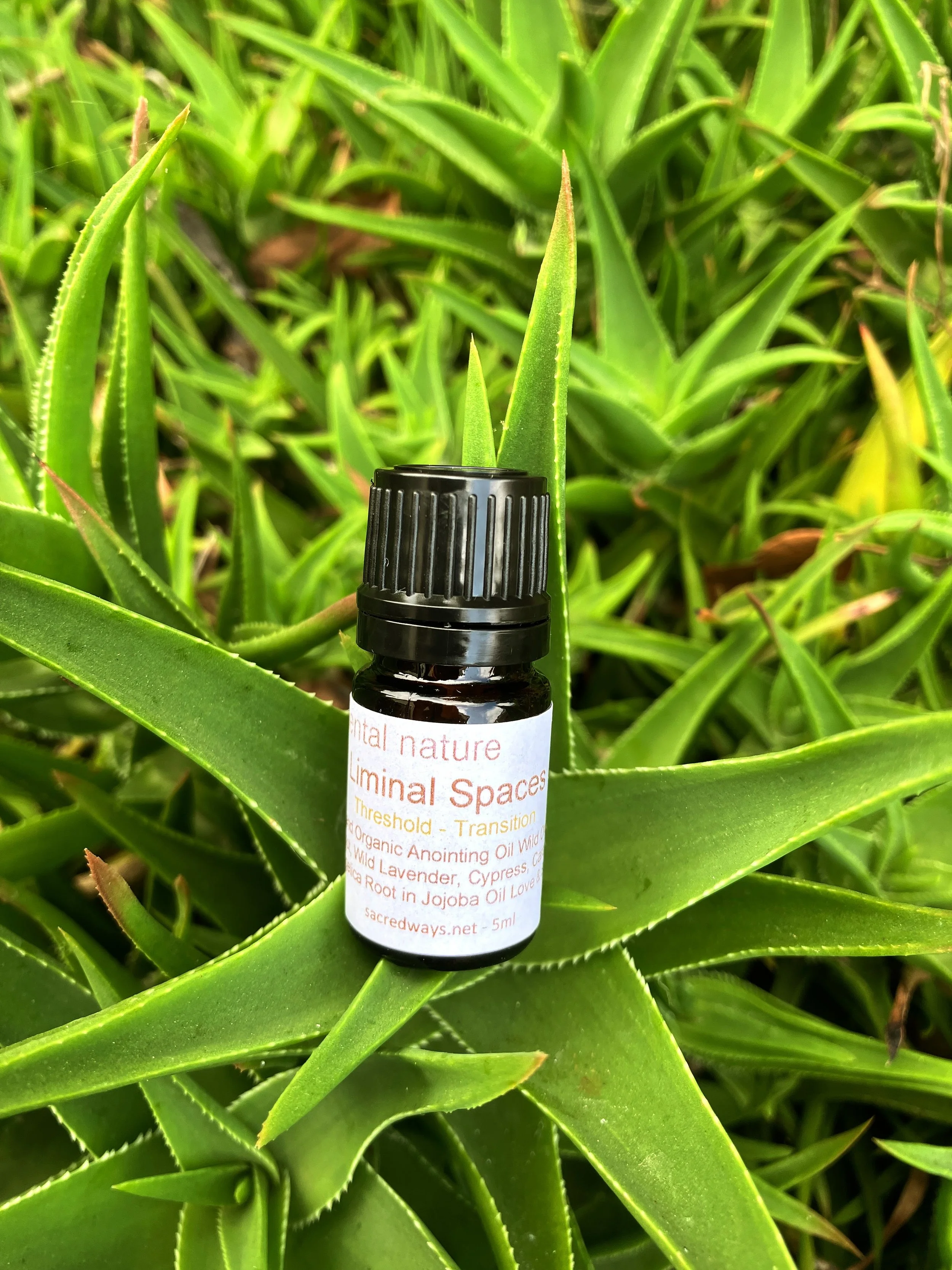 Liminal Spaces - 5ml Anointing Oil