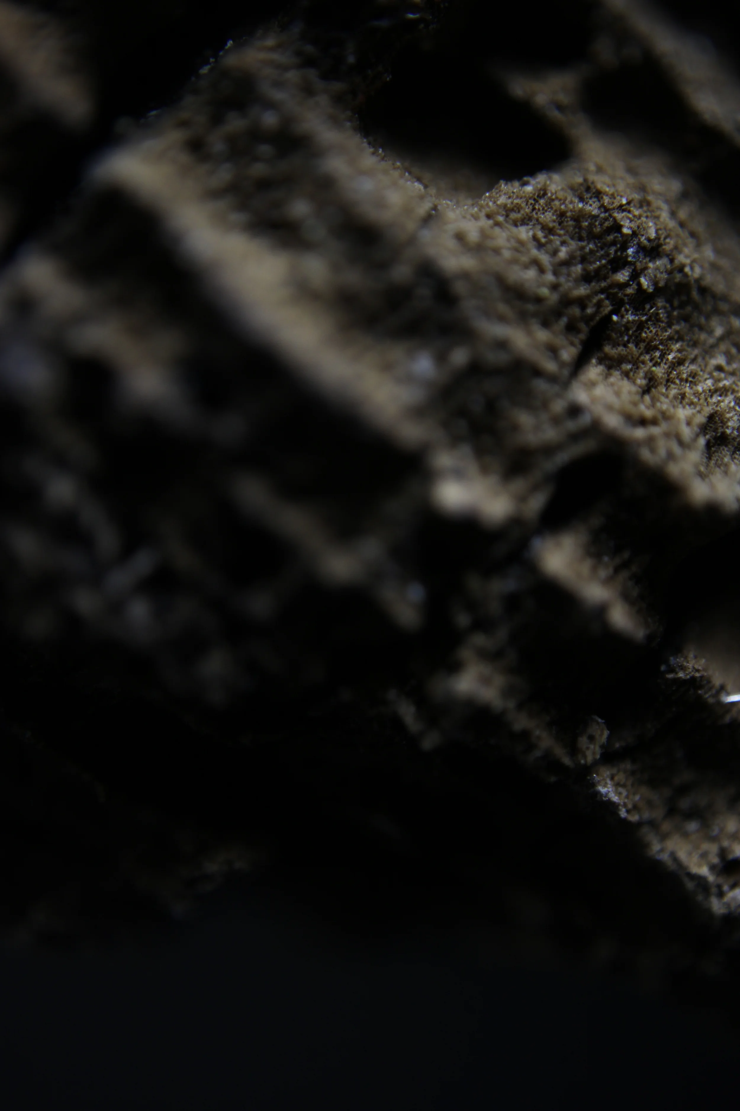  "Enchant yourself and you will enchant others" 