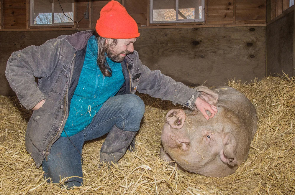 Andy the Pig, and Hervé Breuil, the Animal Caregiver