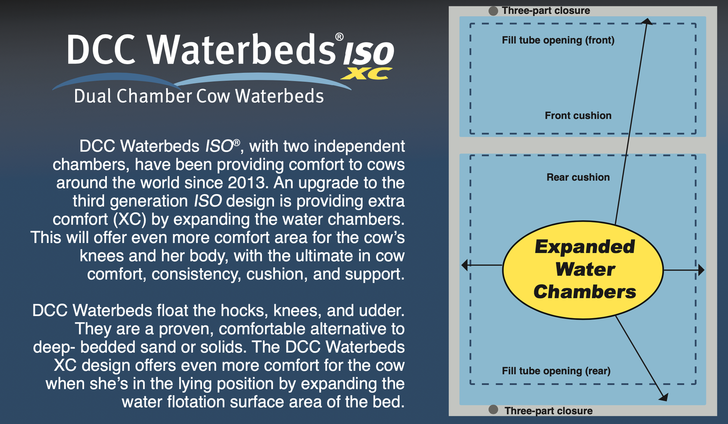 Introducing DCC Waterbeds XC — DCC Waterbeds