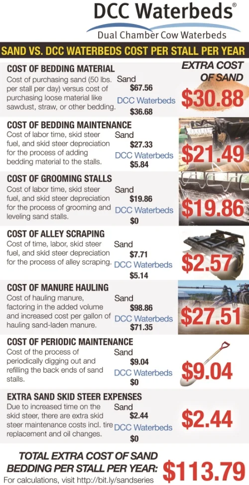 Compare the Cost of DCC Waterbeds to the Cost of Sand — DCC Waterbeds