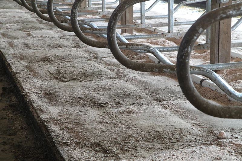 sawdust beds large.jpg