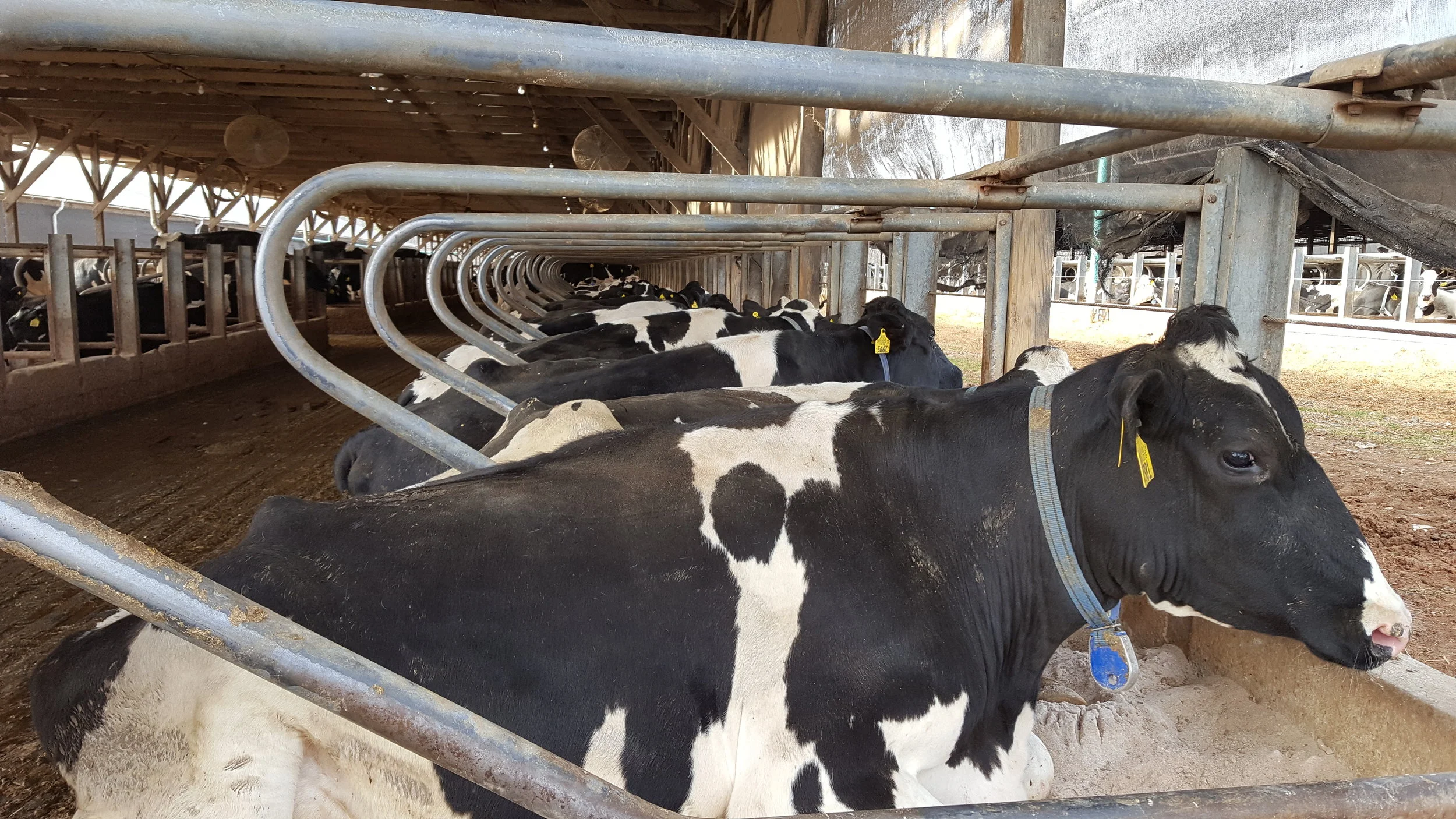 DCC Waterbeds Installation Guide — DCC Waterbeds