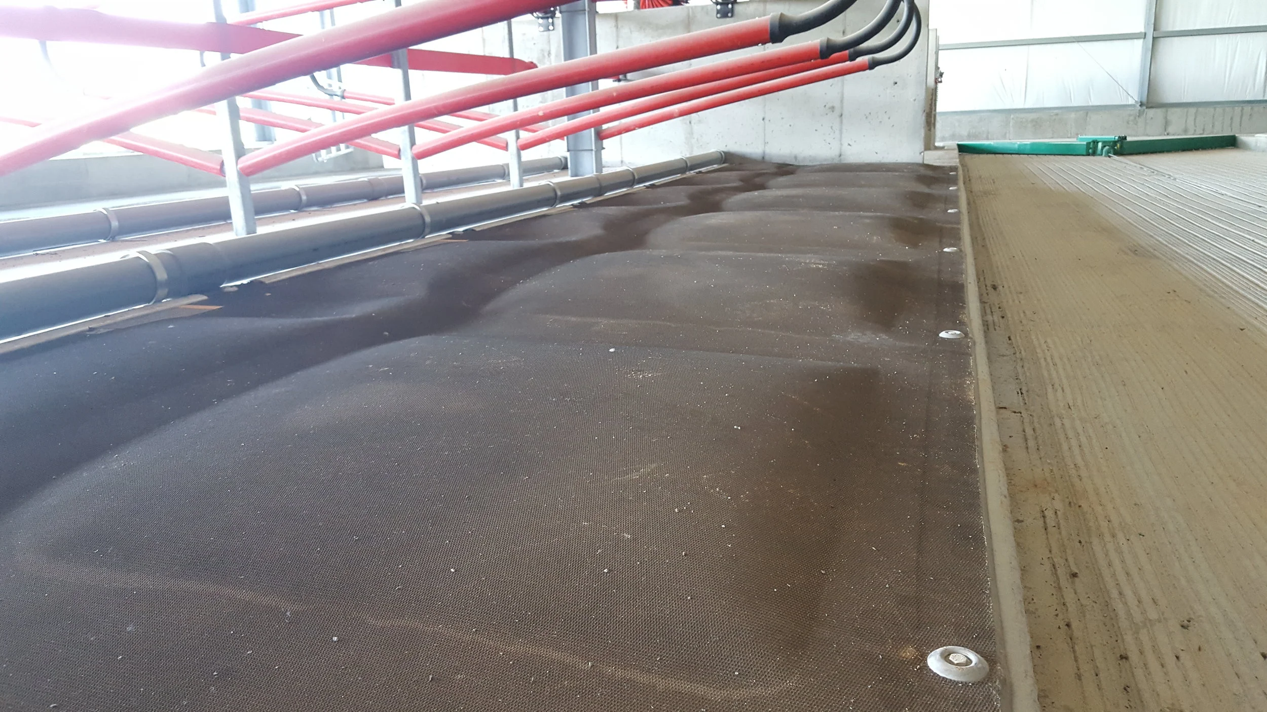 International — DCC Waterbeds