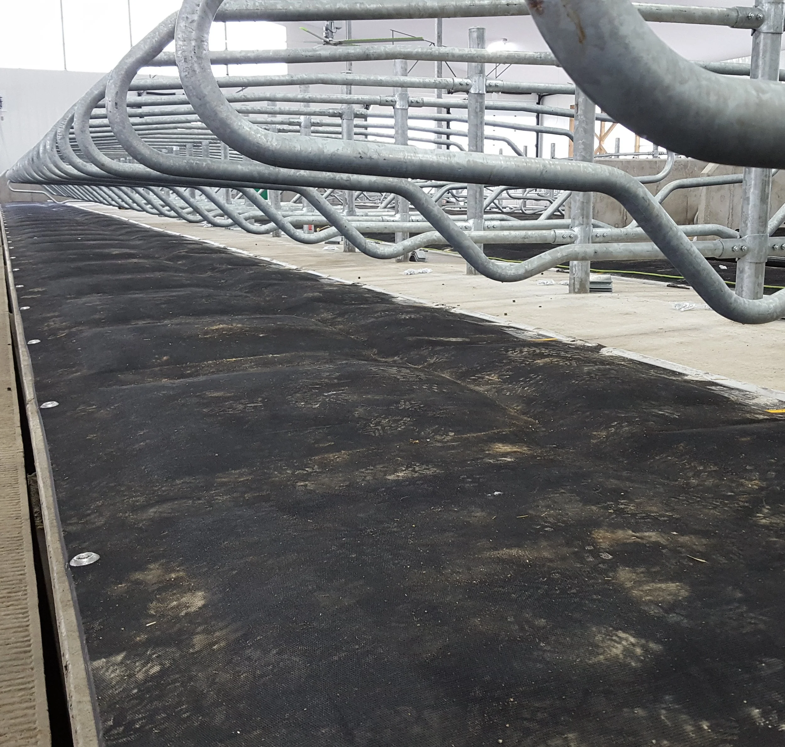 Photos & Videos of dairy cow bedding — DCC Waterbeds