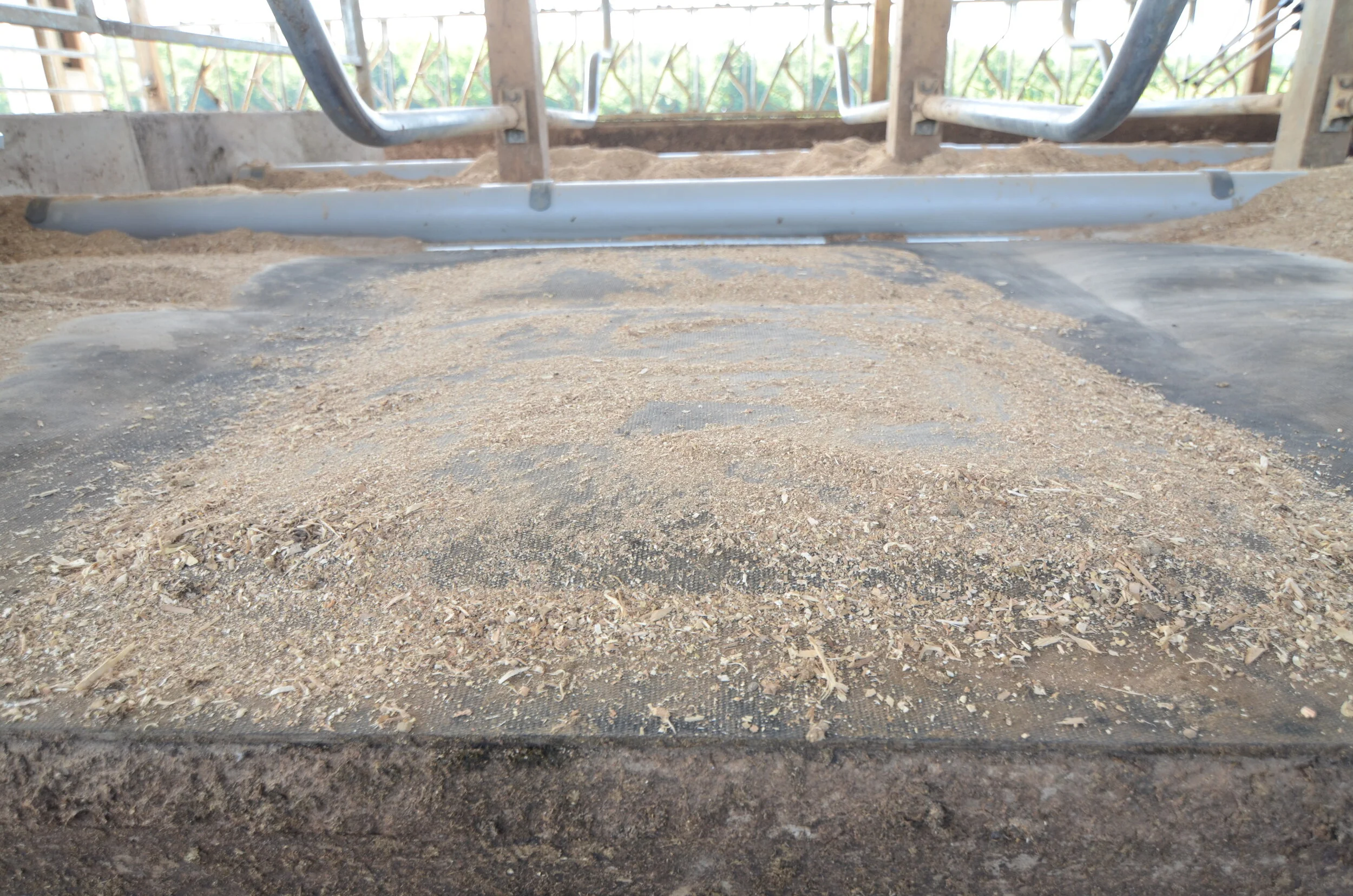 DCC Waterbeds for Cow Comfort