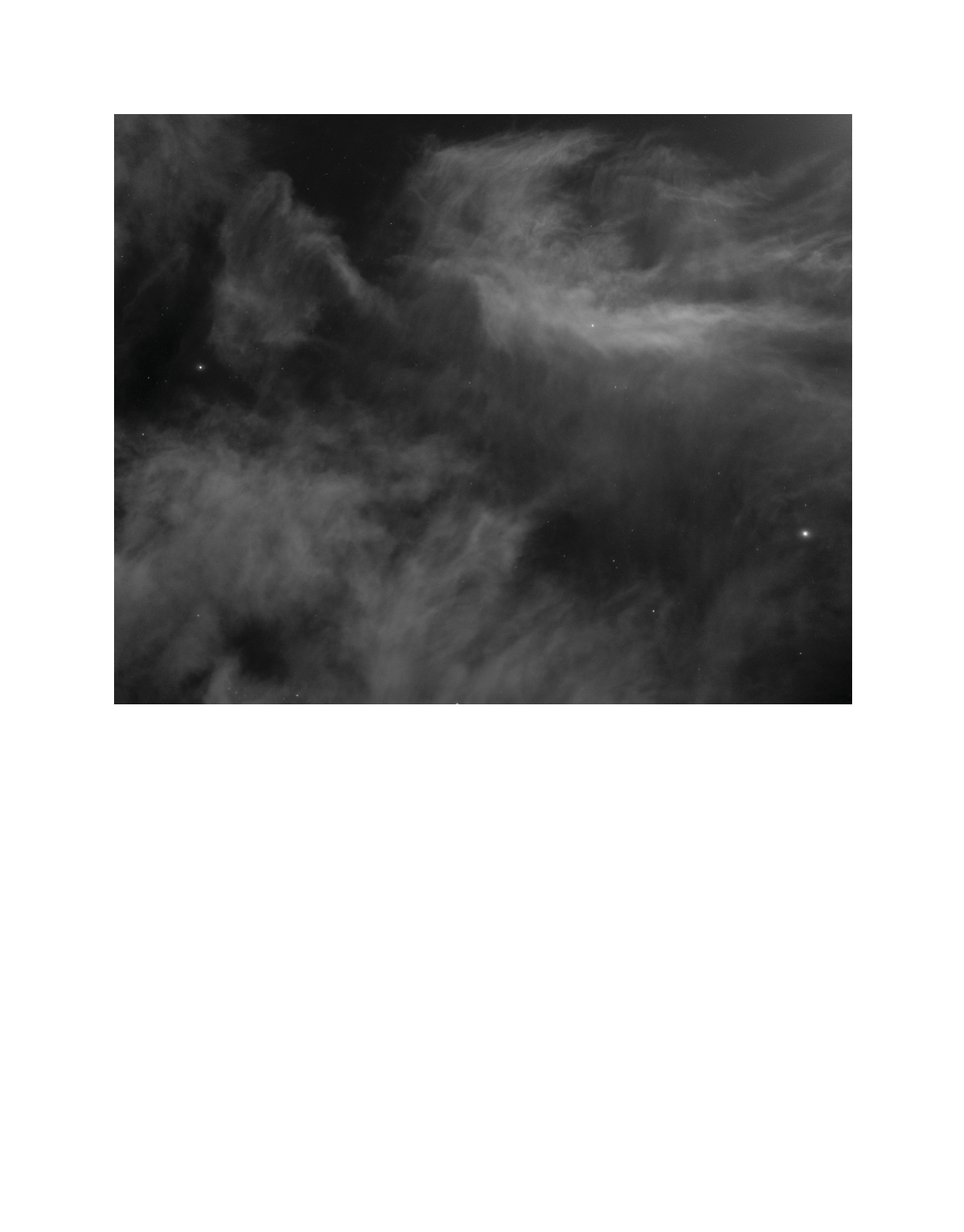 Beau-07.png