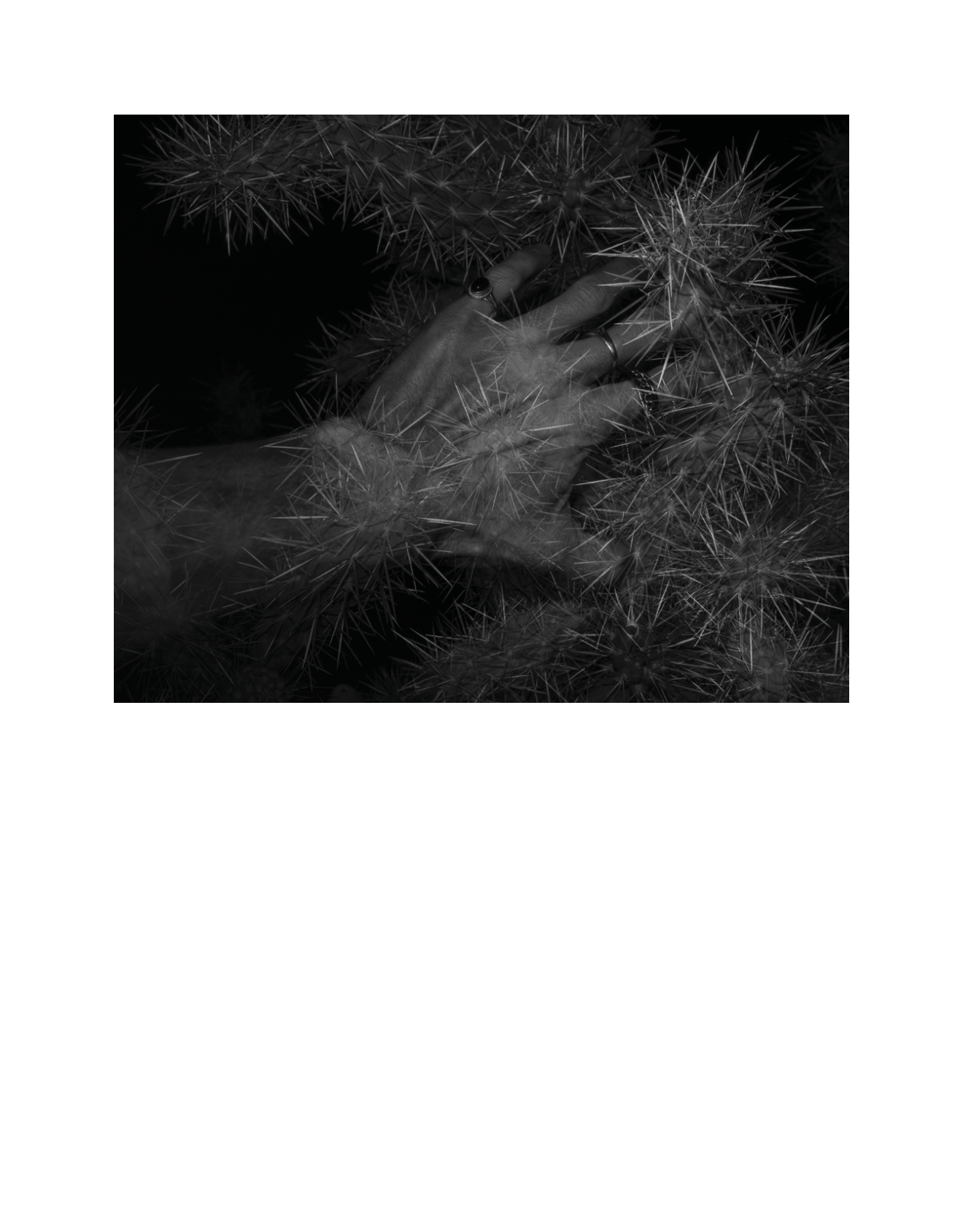 Beau-05.png