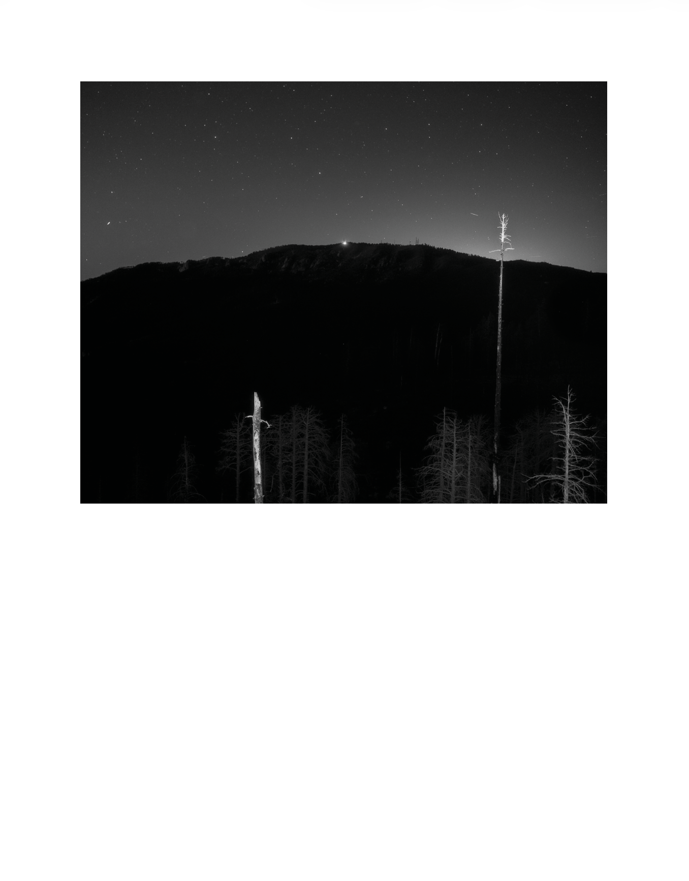 Beau-04.png